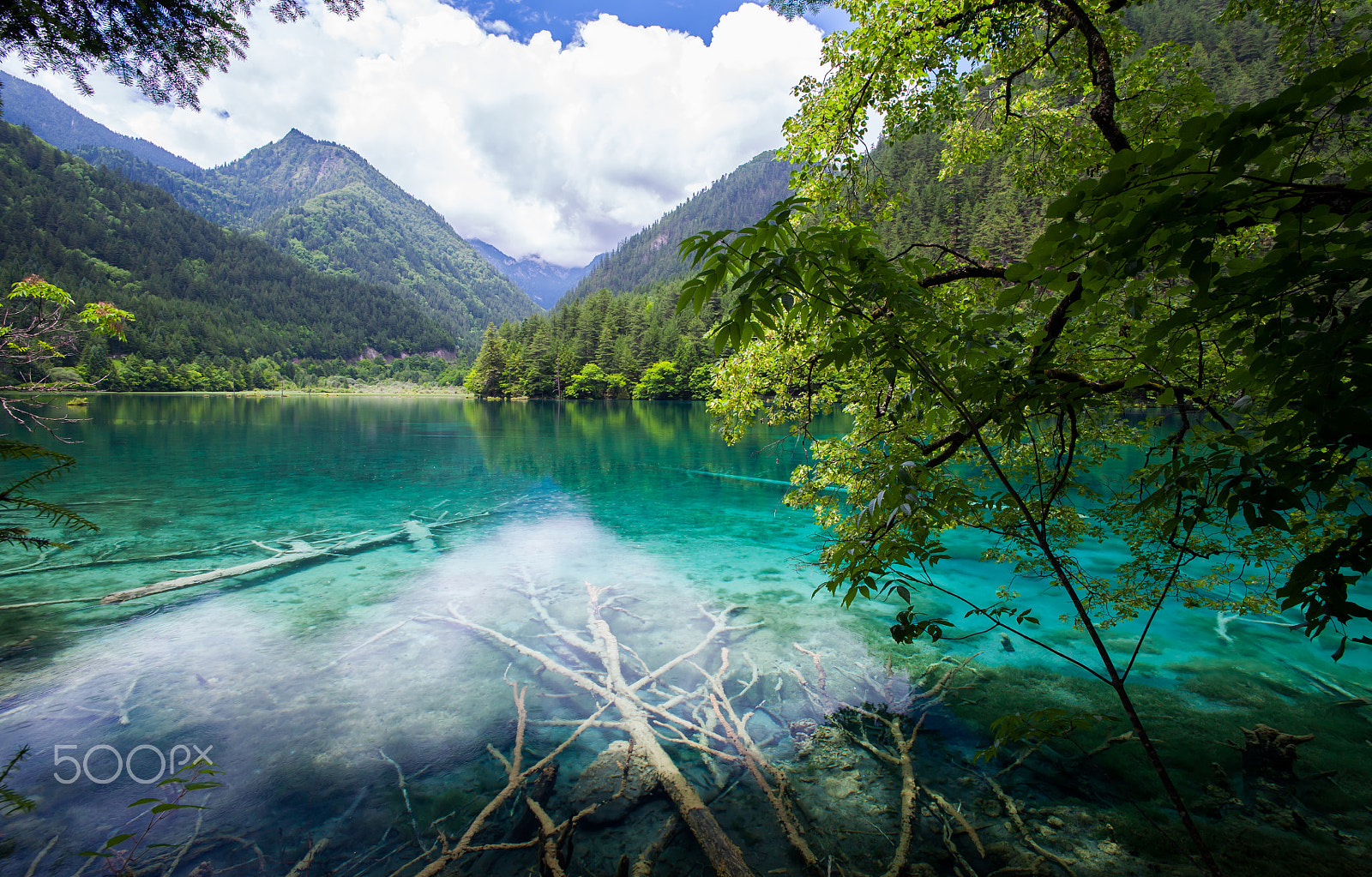 Canon EOS 5D sample photo. Jiuzhai valley, sichuan, china photography