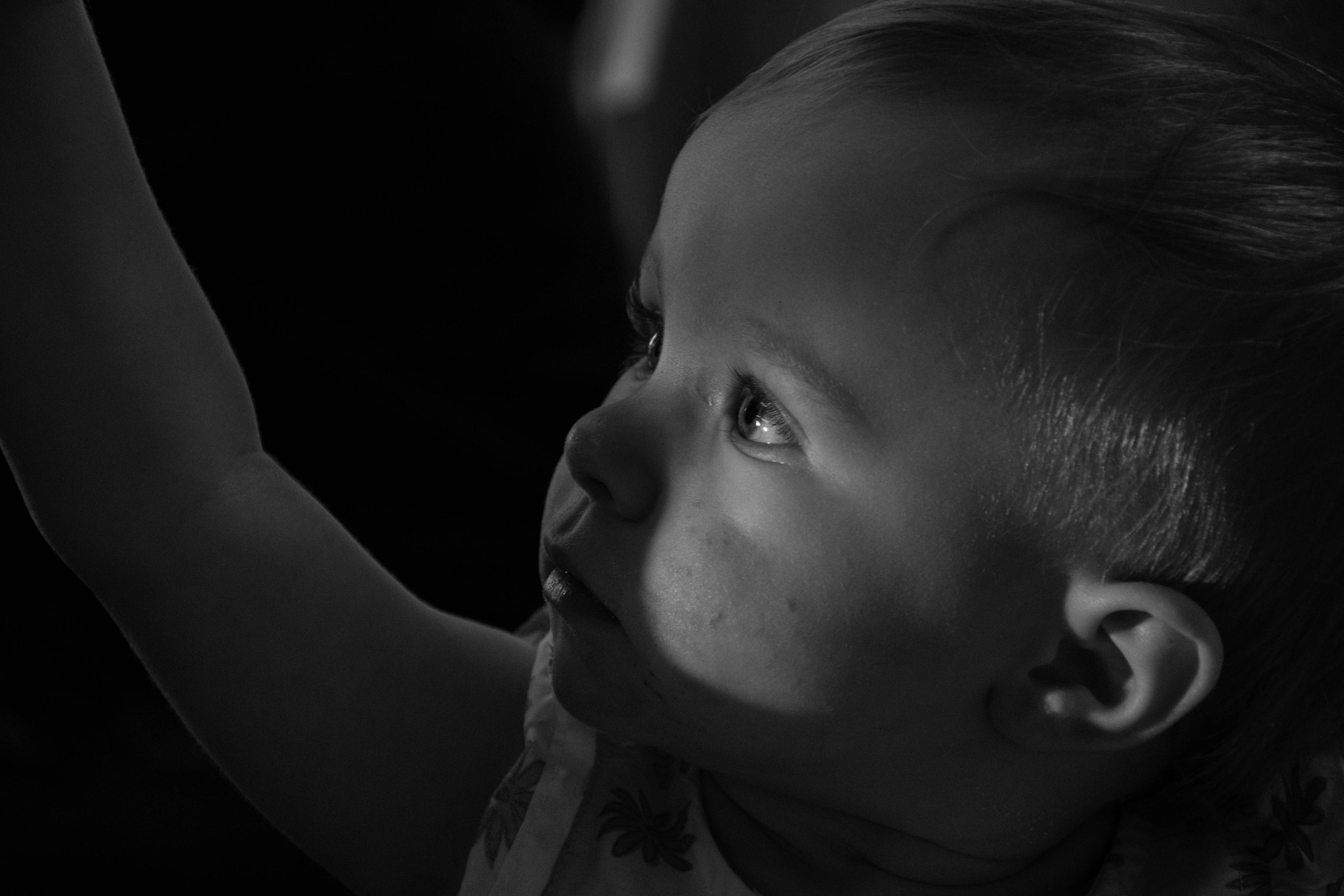 Nikon D500 sample photo. Dempsey photography