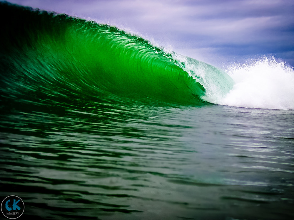 Canon PowerShot D10 sample photo. Green mamba  photography