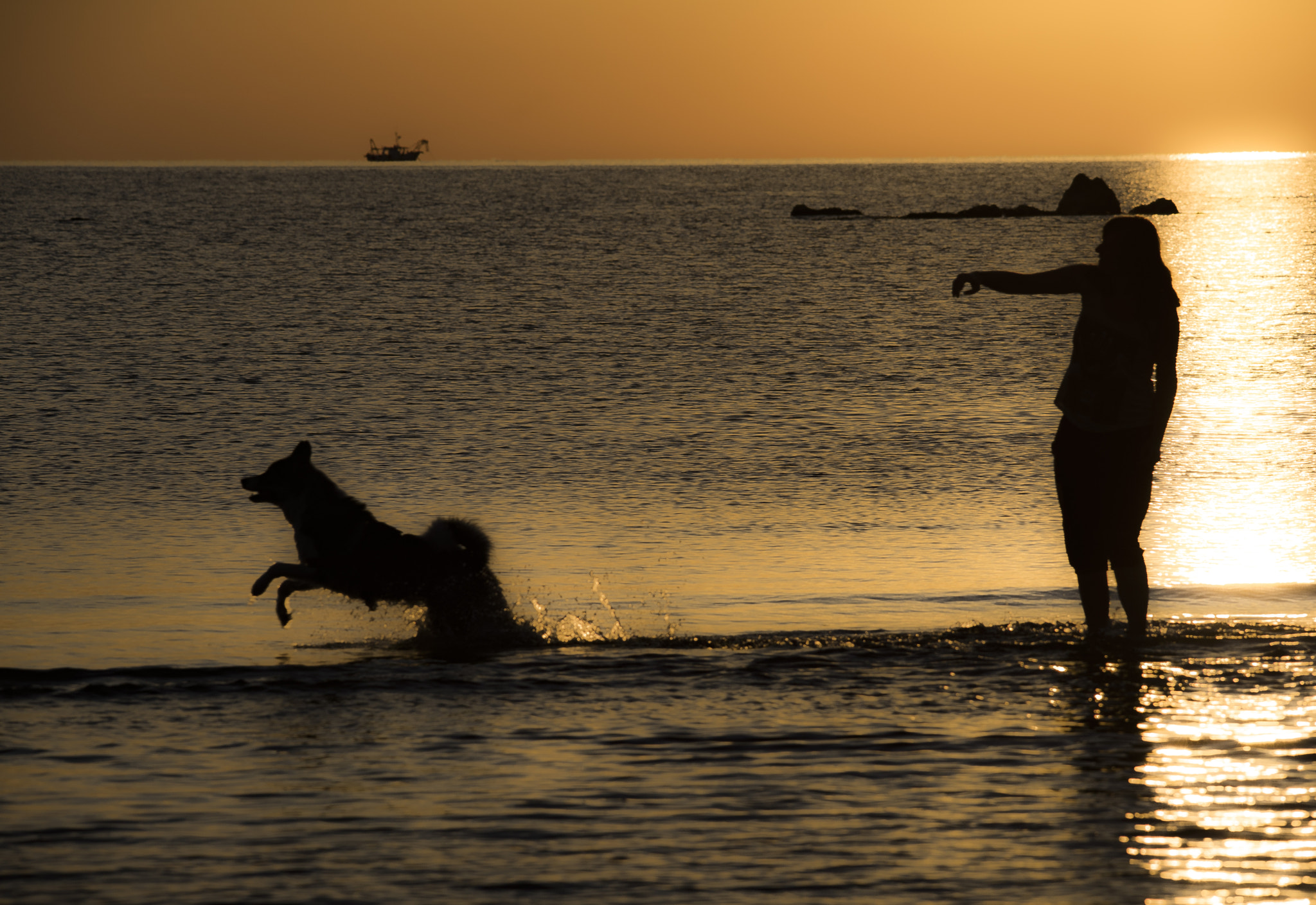 Sigma 150-500mm F5-6.3 DG OS HSM sample photo. The game photography