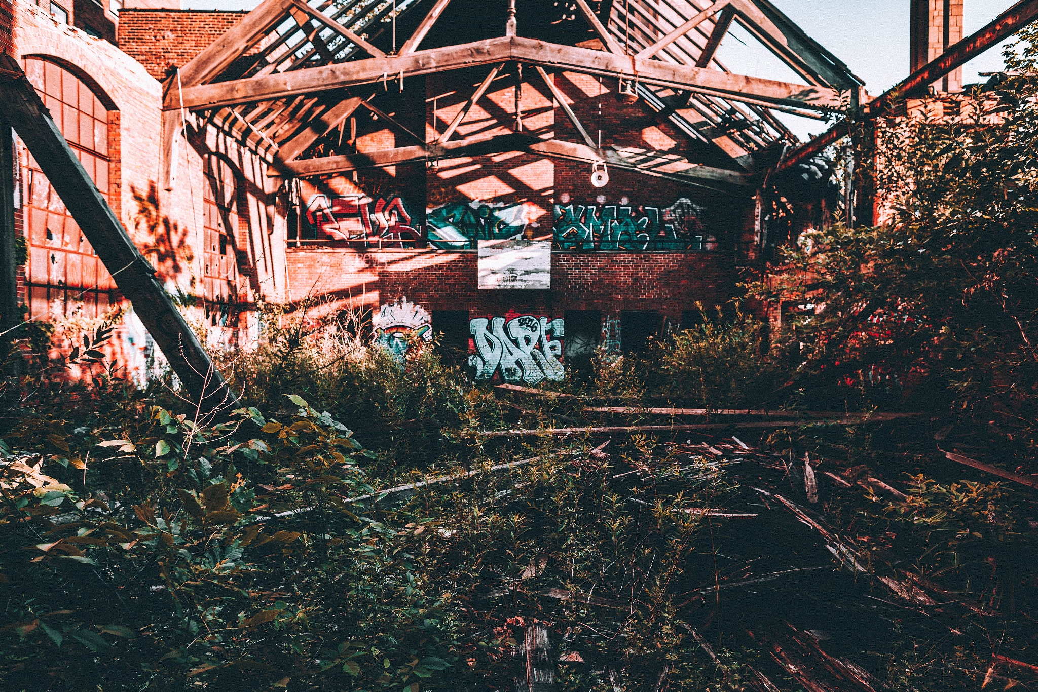 Canon EF 24mm f/1.4L sample photo. Redemption photography