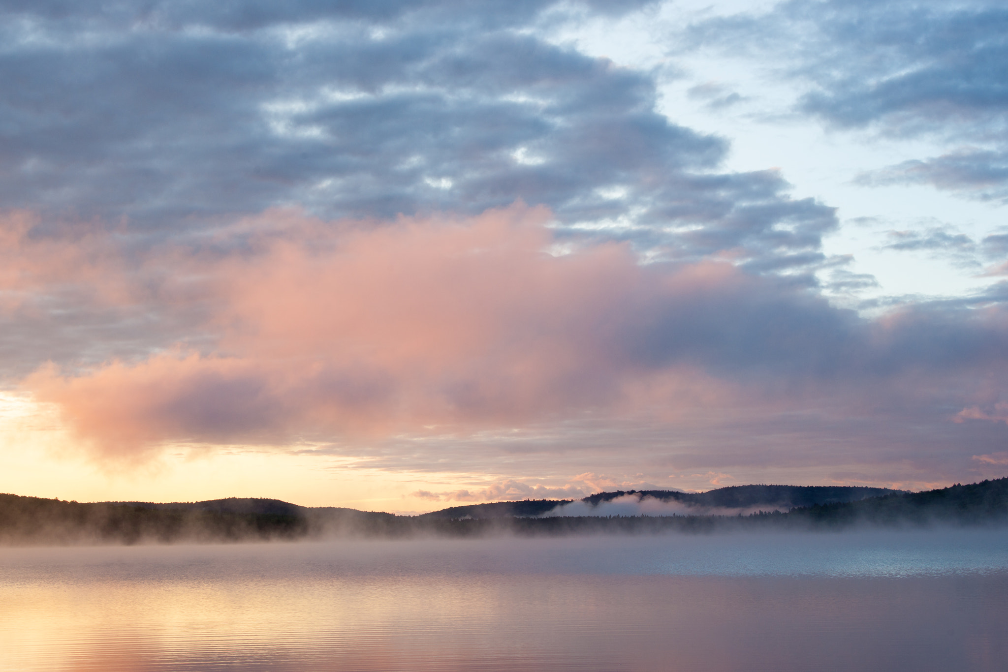 Sony Alpha DSLR-A900 + Sony 70-400mm F4-5.6 G SSM sample photo. Misty morning photography