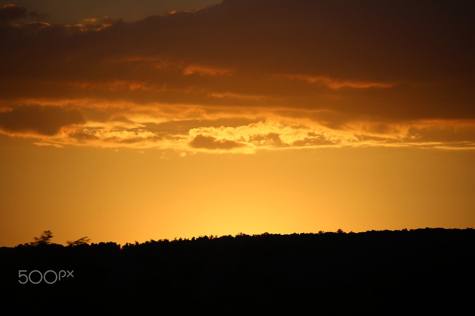 Canon EOS 100D (EOS Rebel SL1 / EOS Kiss X7) sample photo. Sunset and silhouette photography
