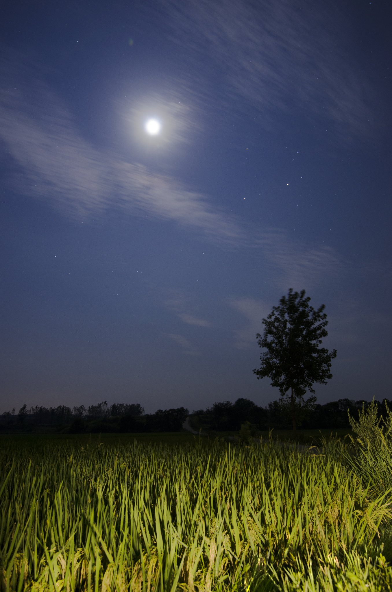 Nikon AF-S Nikkor 16-35mm F4G ED VR sample photo. Moon with three stars photography