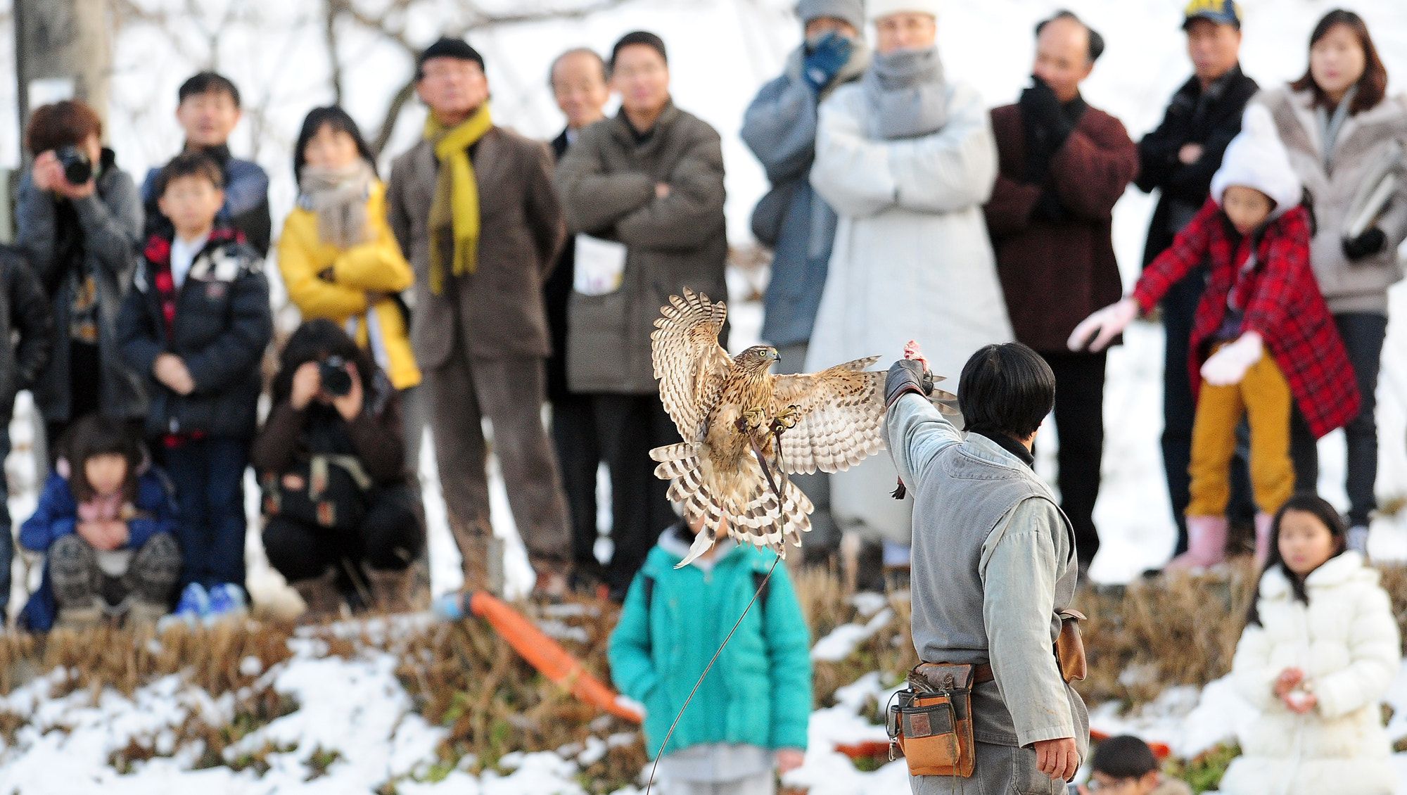 AF-S Nikkor 300mm f/2.8D IF-ED II sample photo. Falconry, a living human heritage photography