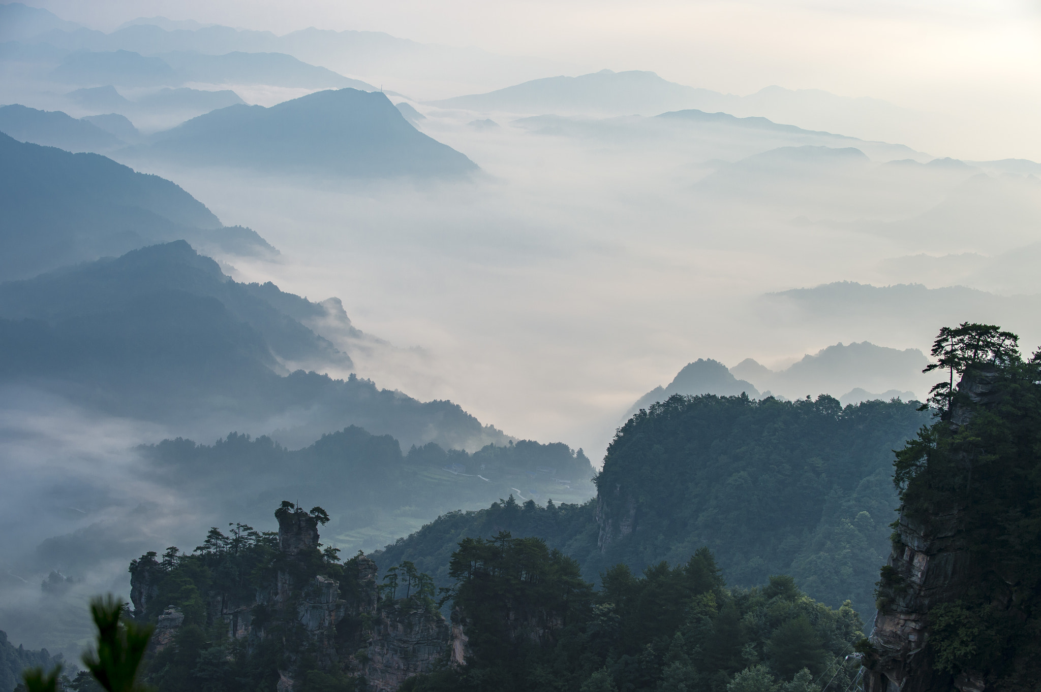 Nikon D4S sample photo. Mist mountain photography