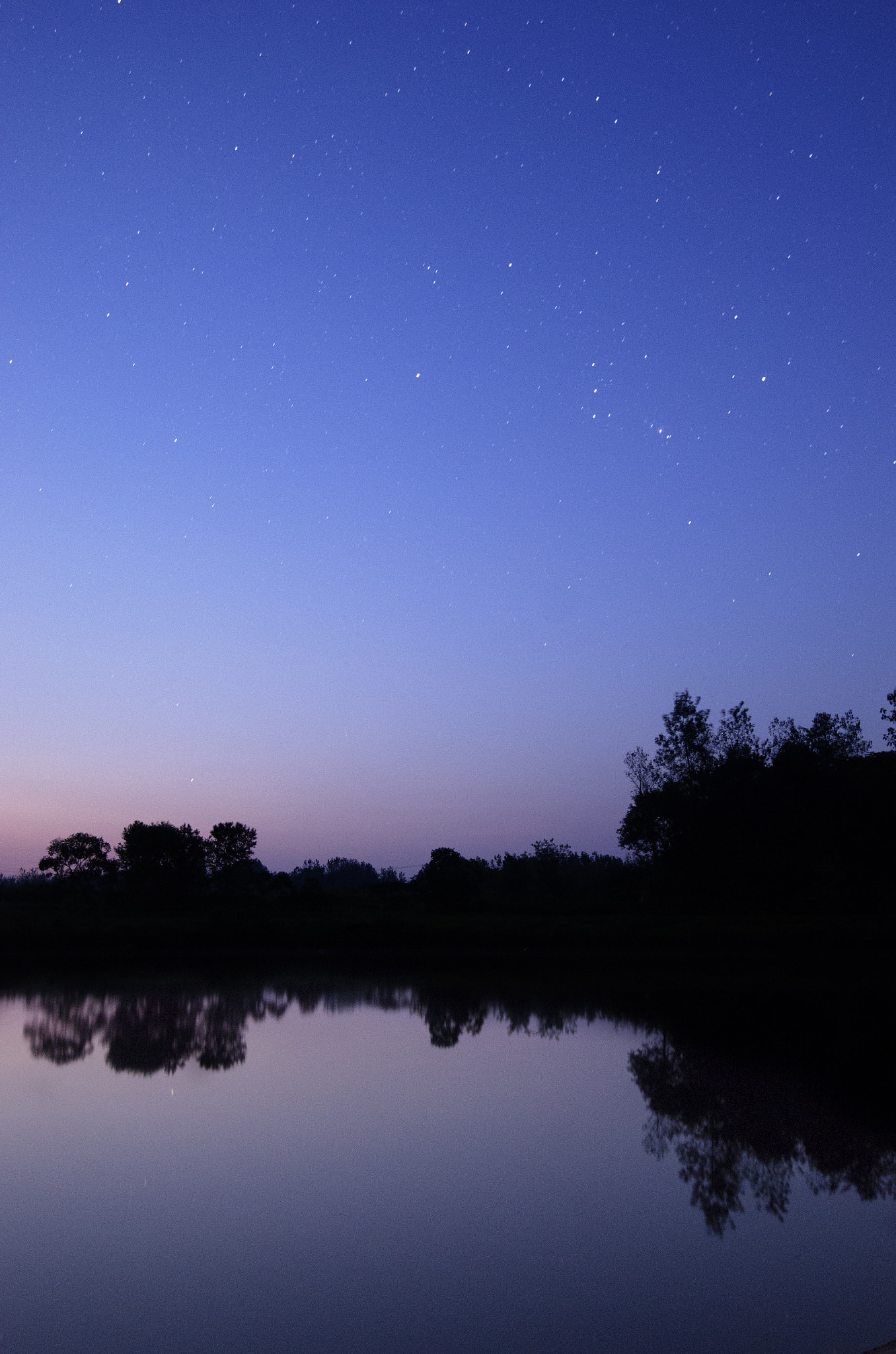 Nikon D7000 sample photo. Pond under orion and twilight photography
