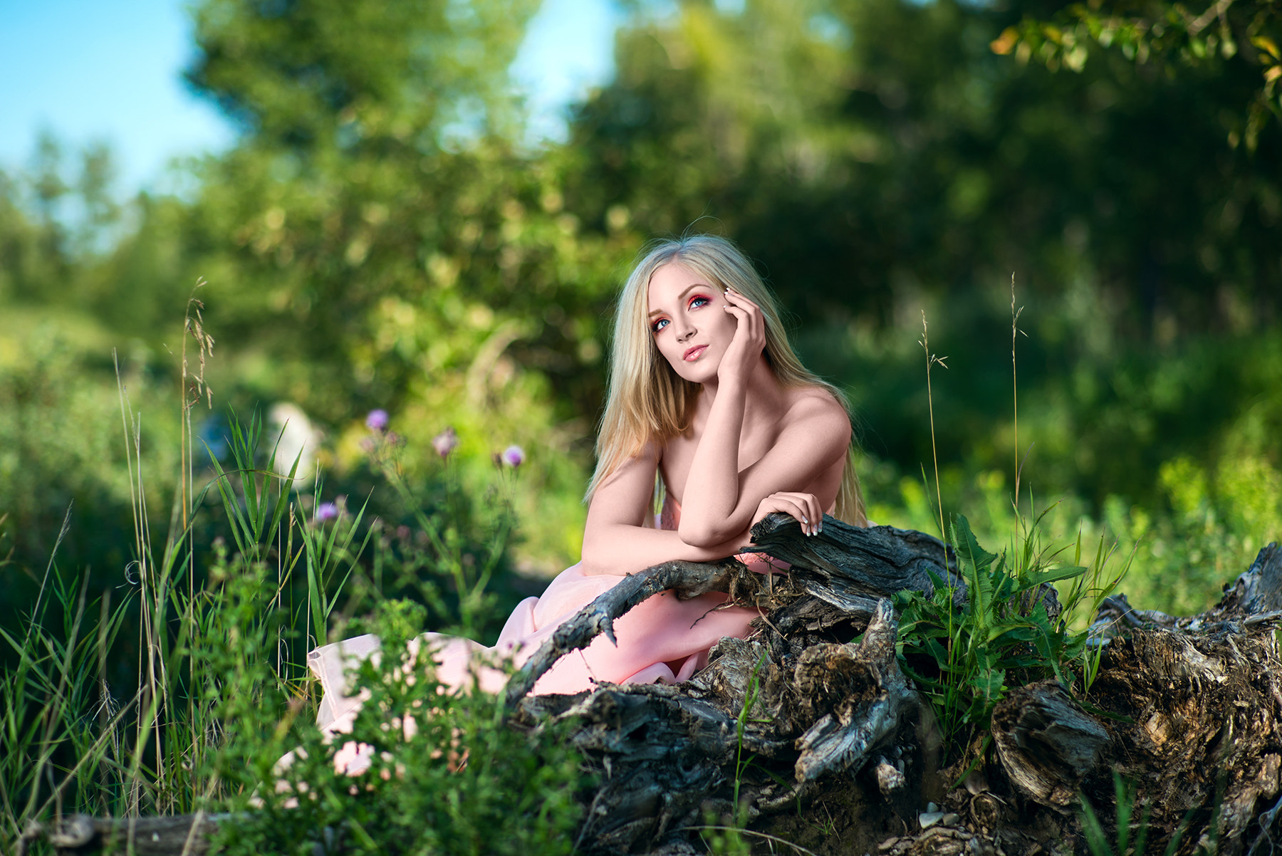 ZEISS Planar T* 85mm F1.4 sample photo. In the forest photography
