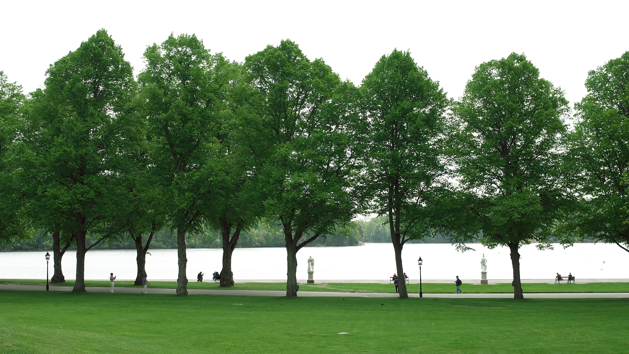 Pentax K-5 IIs sample photo. Tree photography