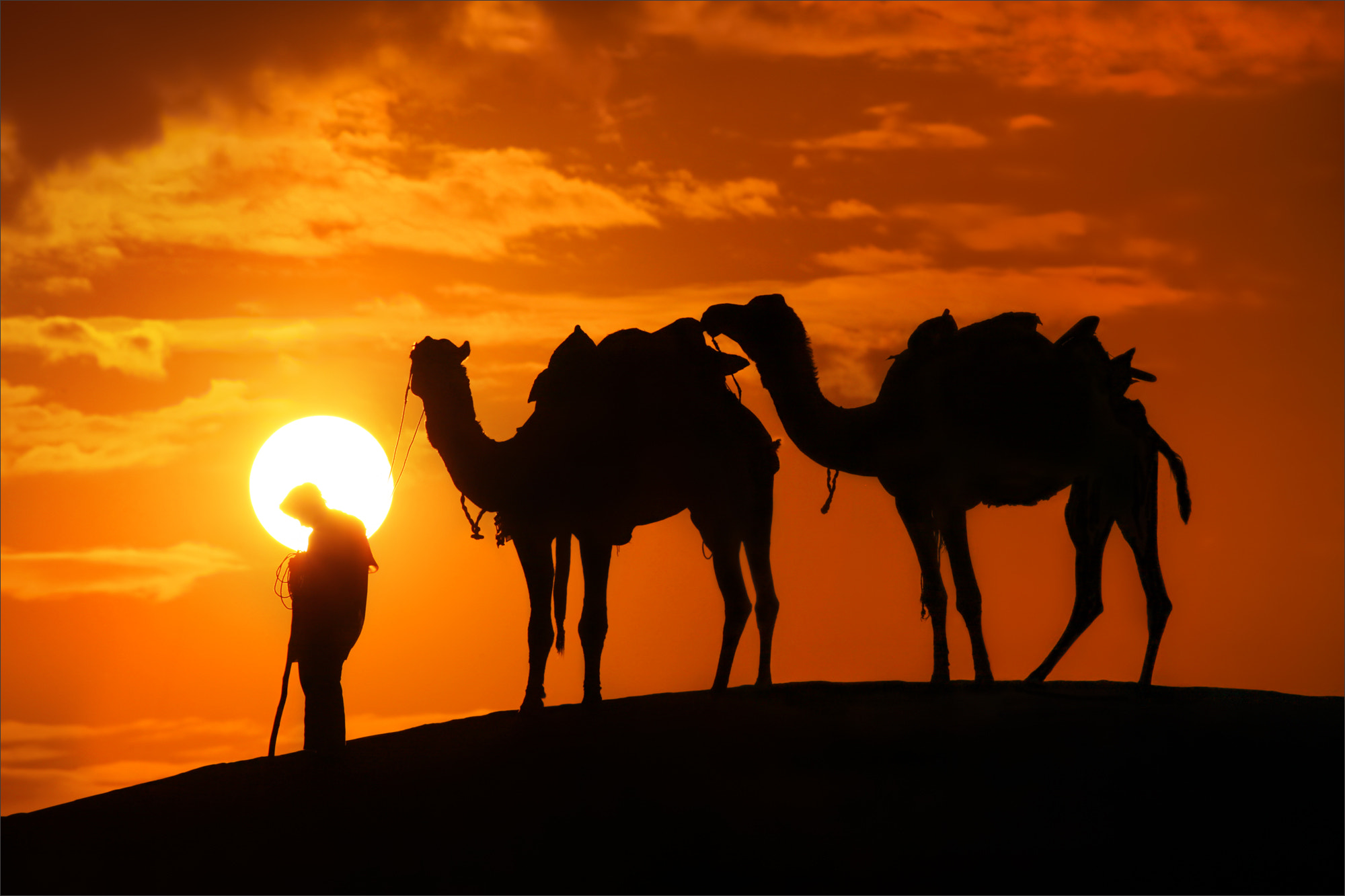 Canon EOS 5D Mark II + Canon EF 100-400mm F4.5-5.6L IS USM sample photo. Sun, boy, and camels photography