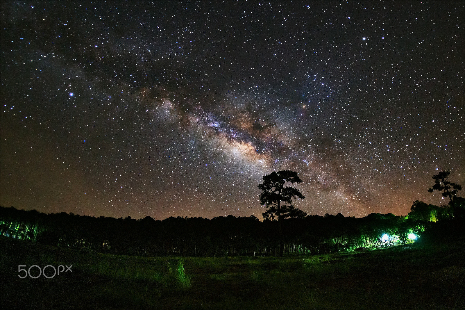 Canon EF 15mm F2.8 Fisheye sample photo. Milky way and silhouette of tree at phu hin rong kla photography