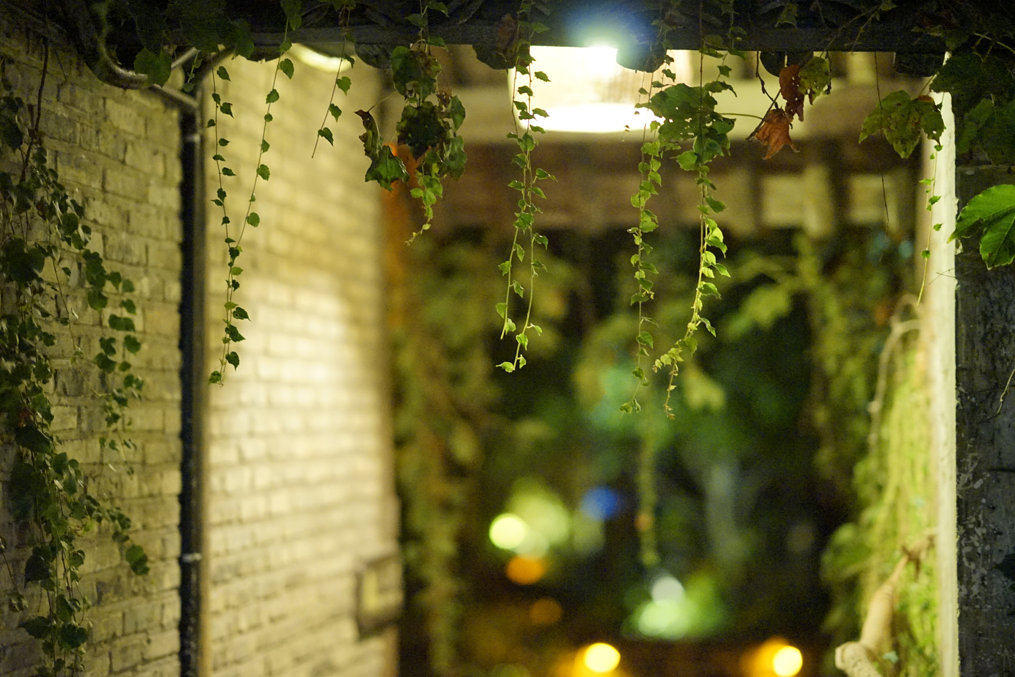 Sony FE 85mm F1.4 GM sample photo. Alley @wuzhen photography