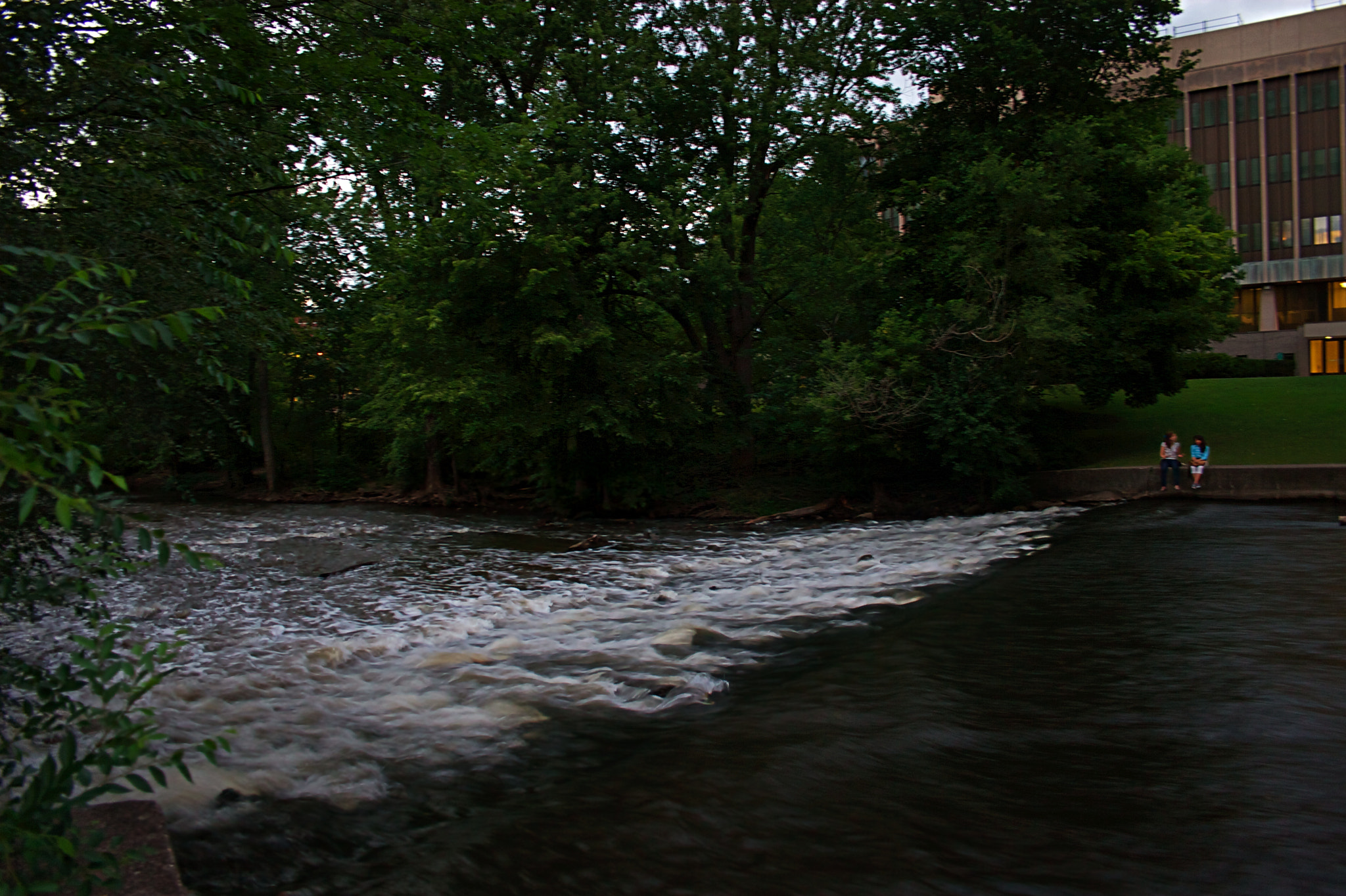 Canon EF-S 18-55mm F3.5-5.6 sample photo. Red cedar calm spot photography