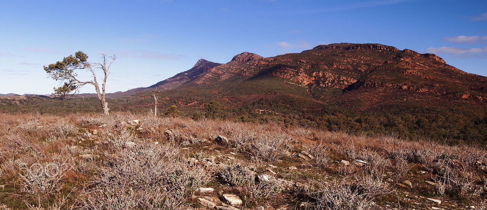 Olympus Zuiko Digital ED 9-18mm F4.0-5.6 sample photo. Flinders ranges sunset photography
