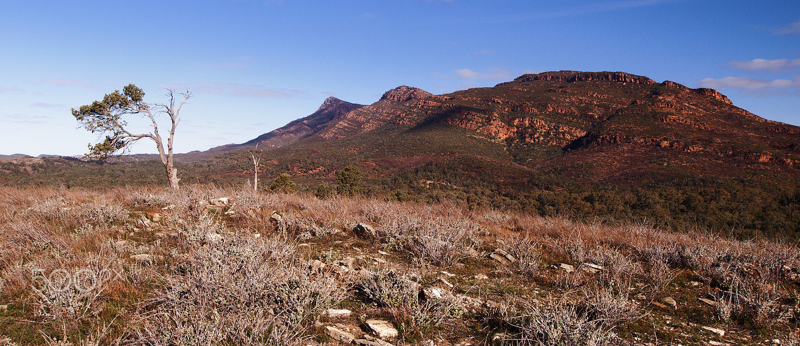 Olympus E-30 + Olympus Zuiko Digital ED 9-18mm F4.0-5.6 sample photo. Flinders ranges sunset photography