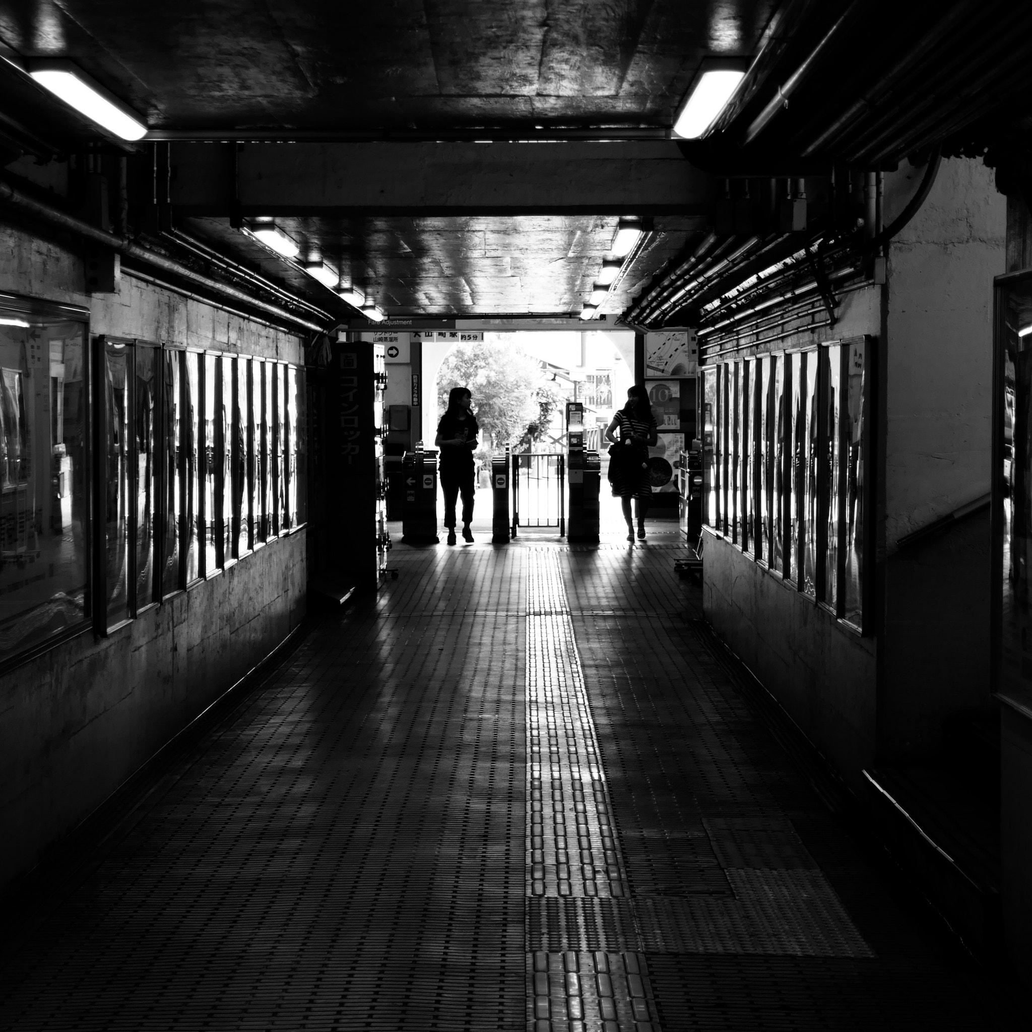 Panasonic DMC-TX1 sample photo