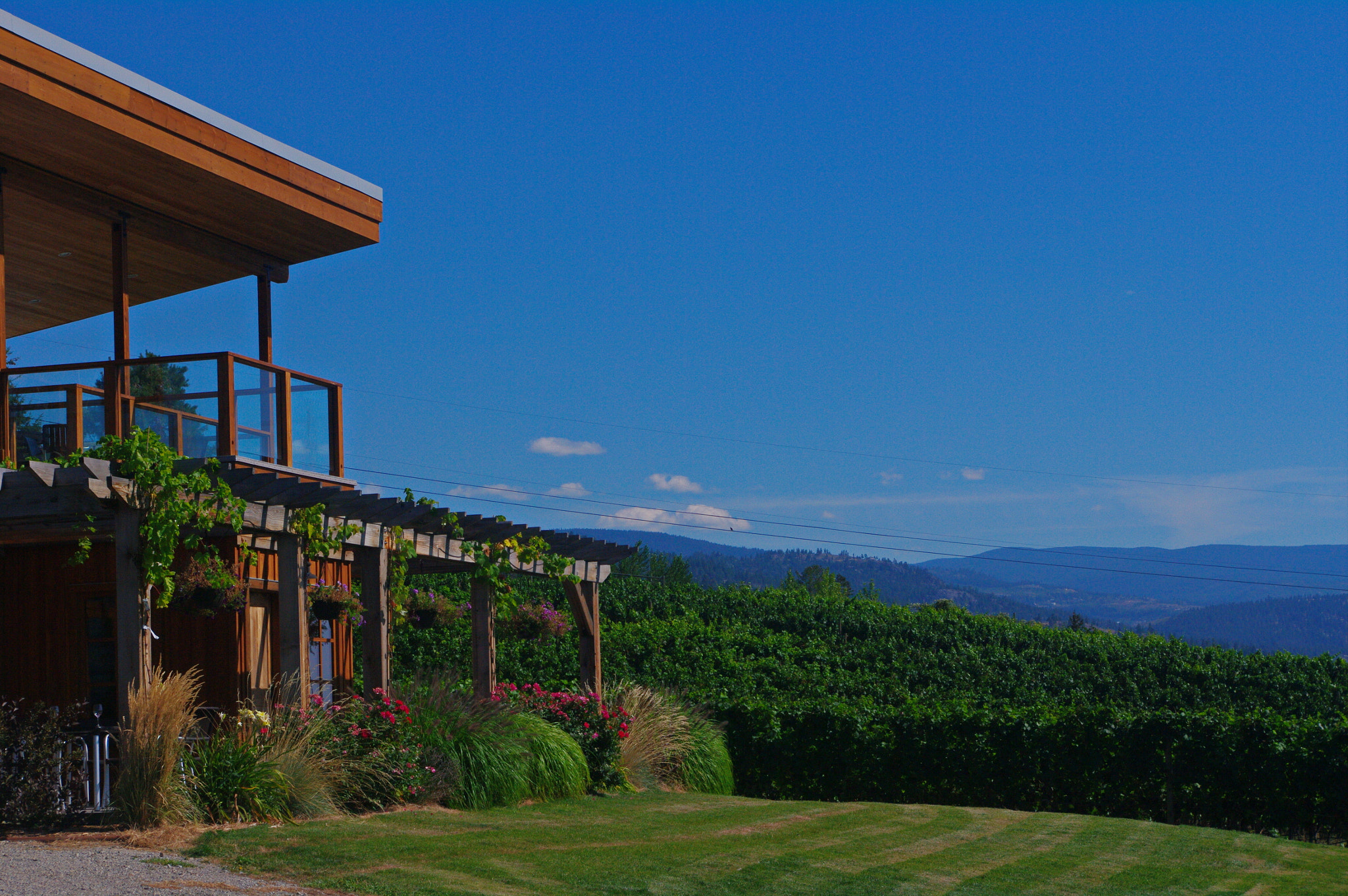 smc PENTAX-DA L 18-55mm F3.5-5.6 sample photo. Deep roots winery photography