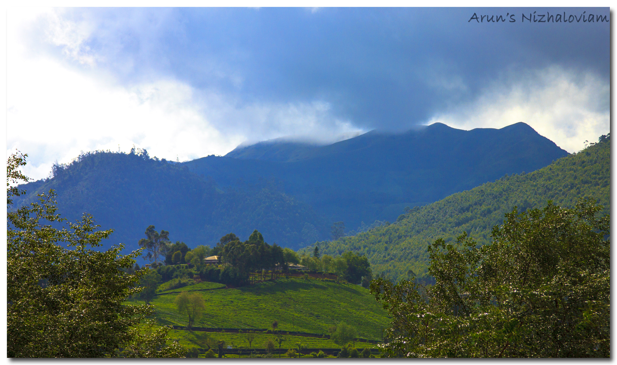 Canon EF 28-135mm F3.5-5.6 IS USM sample photo. Kannan devan hills photography