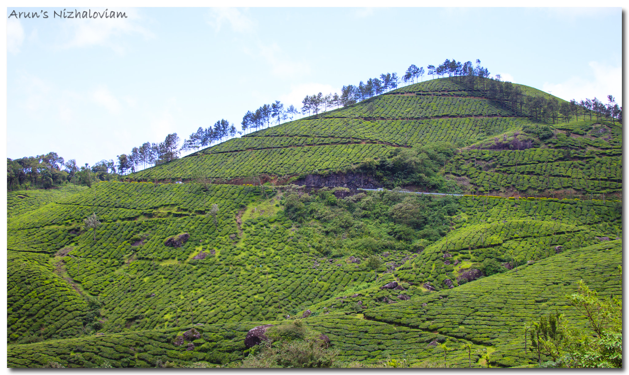 Canon EF 28-135mm F3.5-5.6 IS USM sample photo. Munnar tea plantations photography