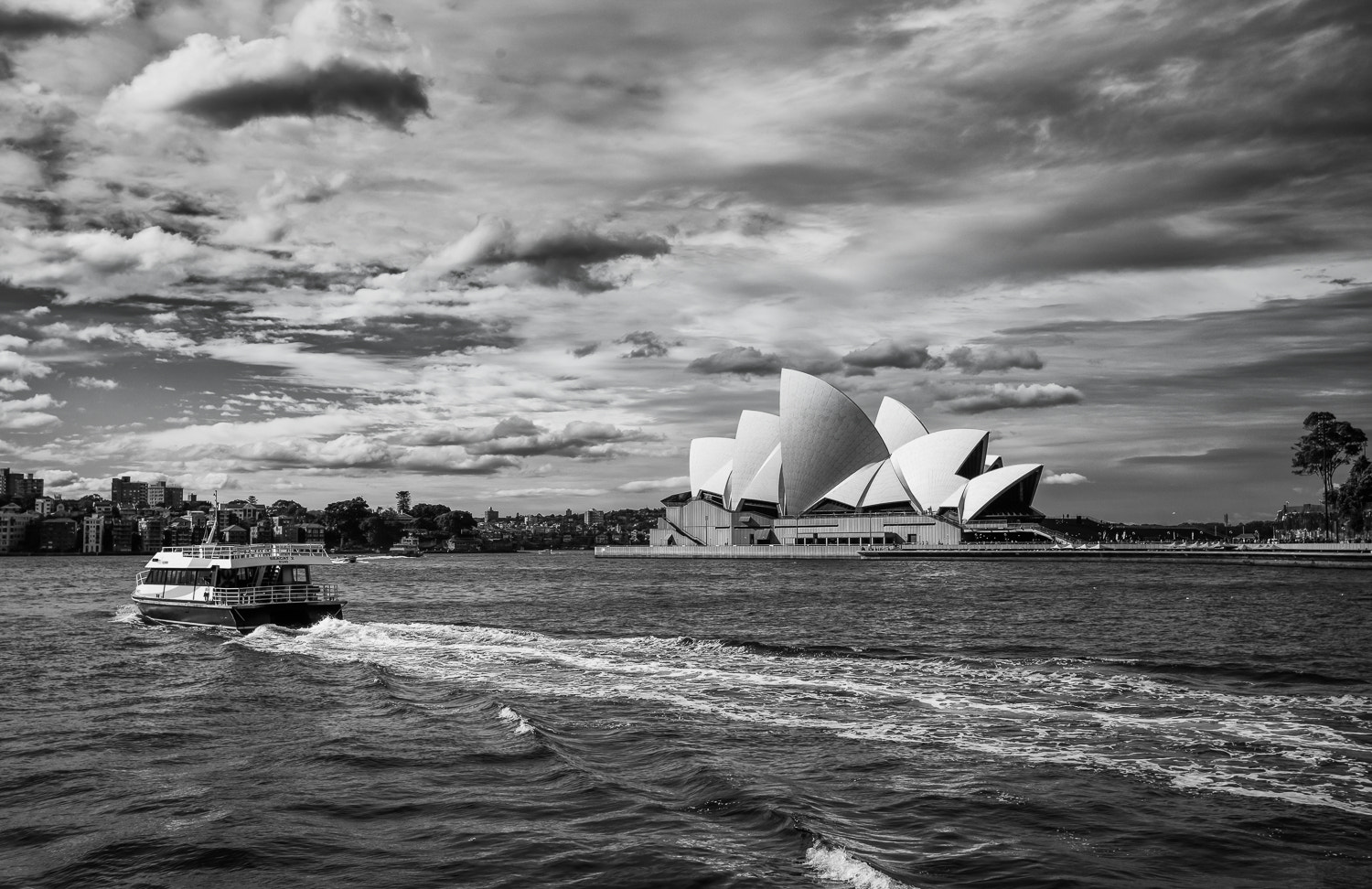 Canon EOS 5DS R + Canon EF 17-40mm F4L USM sample photo. Sydney 2 photography