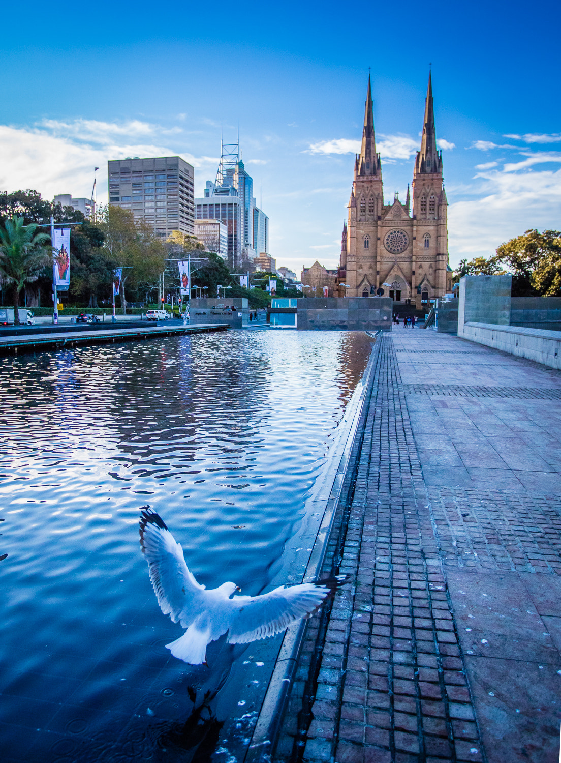 Canon EOS 5DS R + Canon EF 17-40mm F4L USM sample photo. Sydney 2 photography