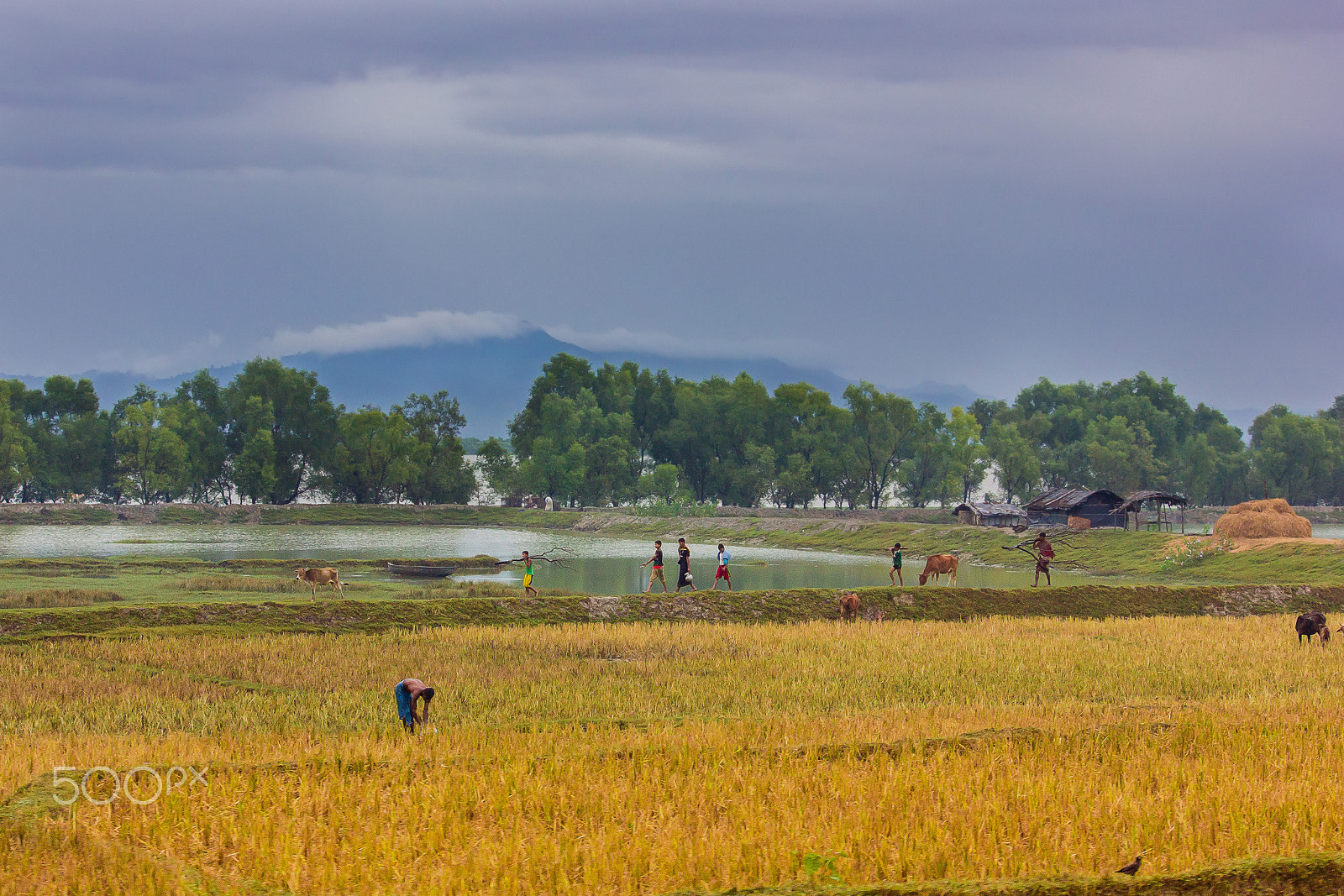 Canon EOS 550D (EOS Rebel T2i / EOS Kiss X4) sample photo. A village by the river & hills photography