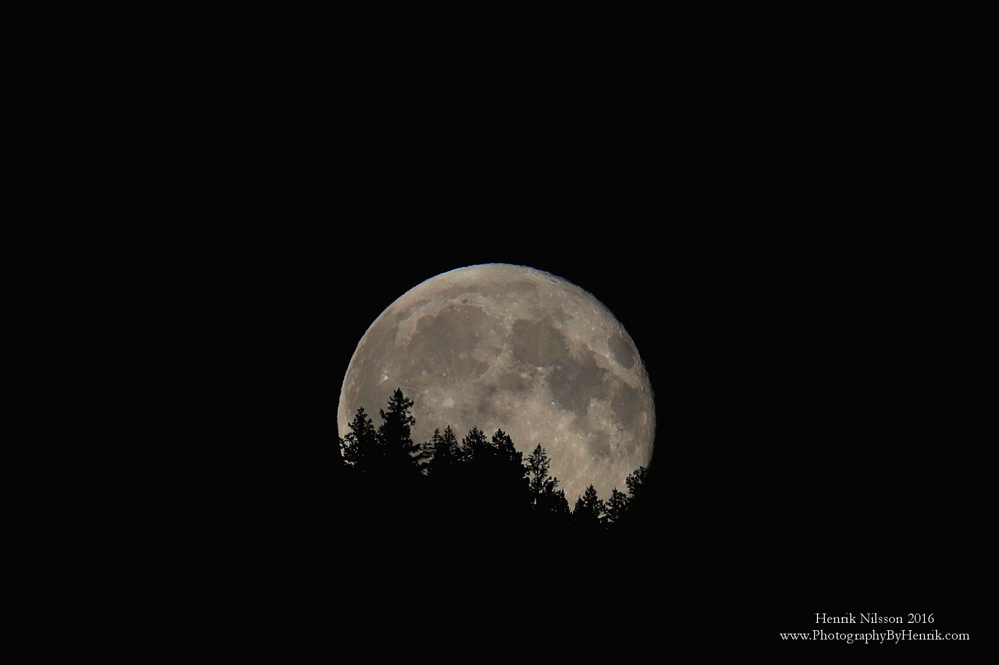Canon EF 500mm F4L IS II USM sample photo. Moonrise photography