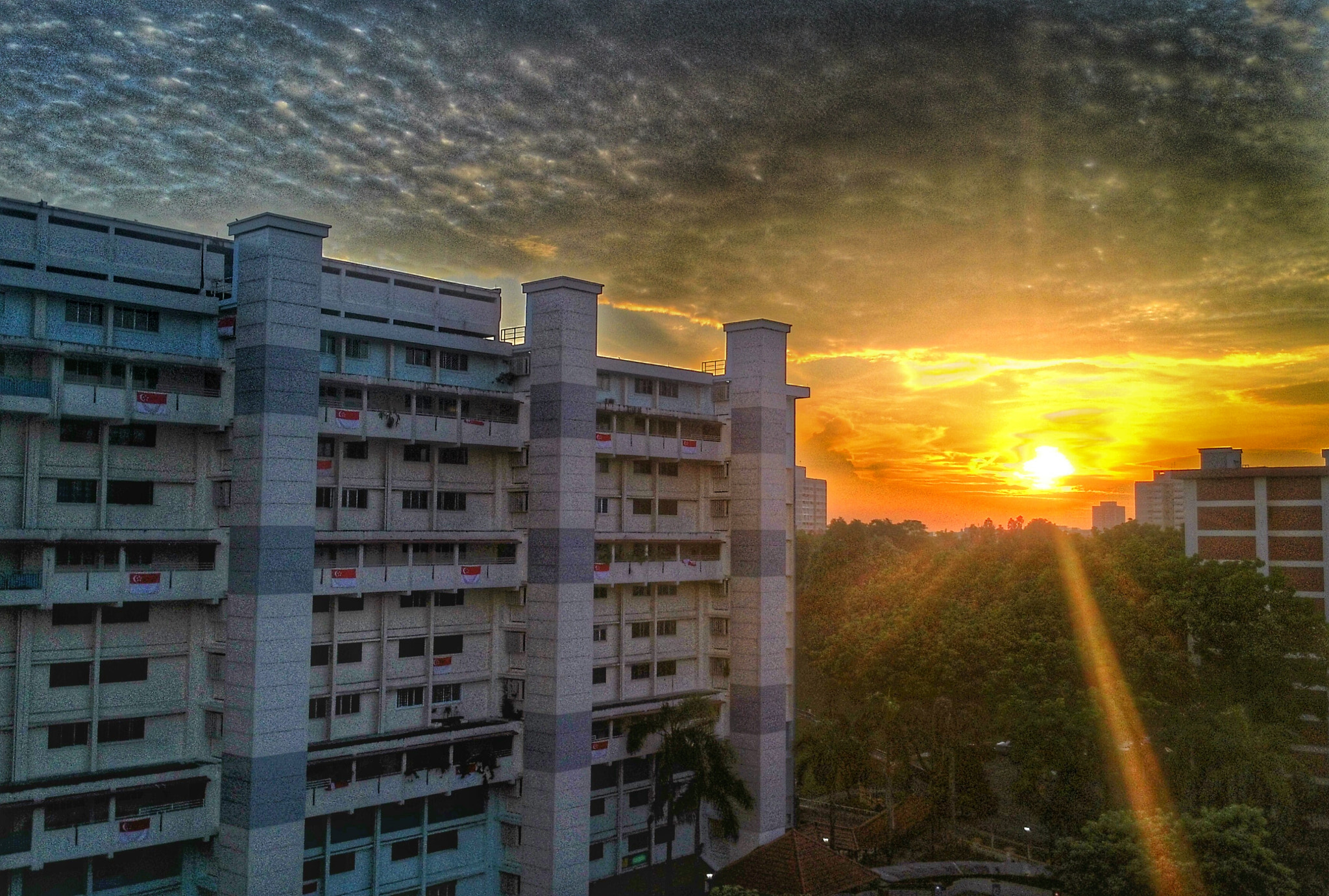 ASUS PadFone sample photo. Sun rising photography