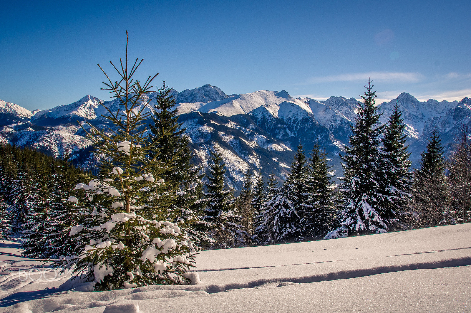 Sony Alpha DSLR-A500 + Tamron AF 28-105mm F4-5.6 [IF] sample photo. Winter scene photography