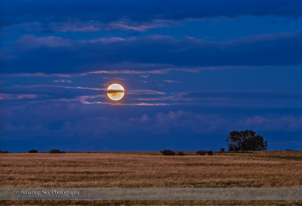 Canon EOS 60D + Canon EF 135mm F2L USM sample photo. The rising "sturgeon" moon photography