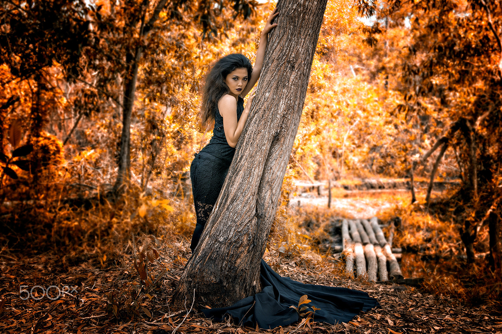 Sigma 17-70mm F2.8-4 DC Macro HSM | C sample photo. Cellyzlyn photography