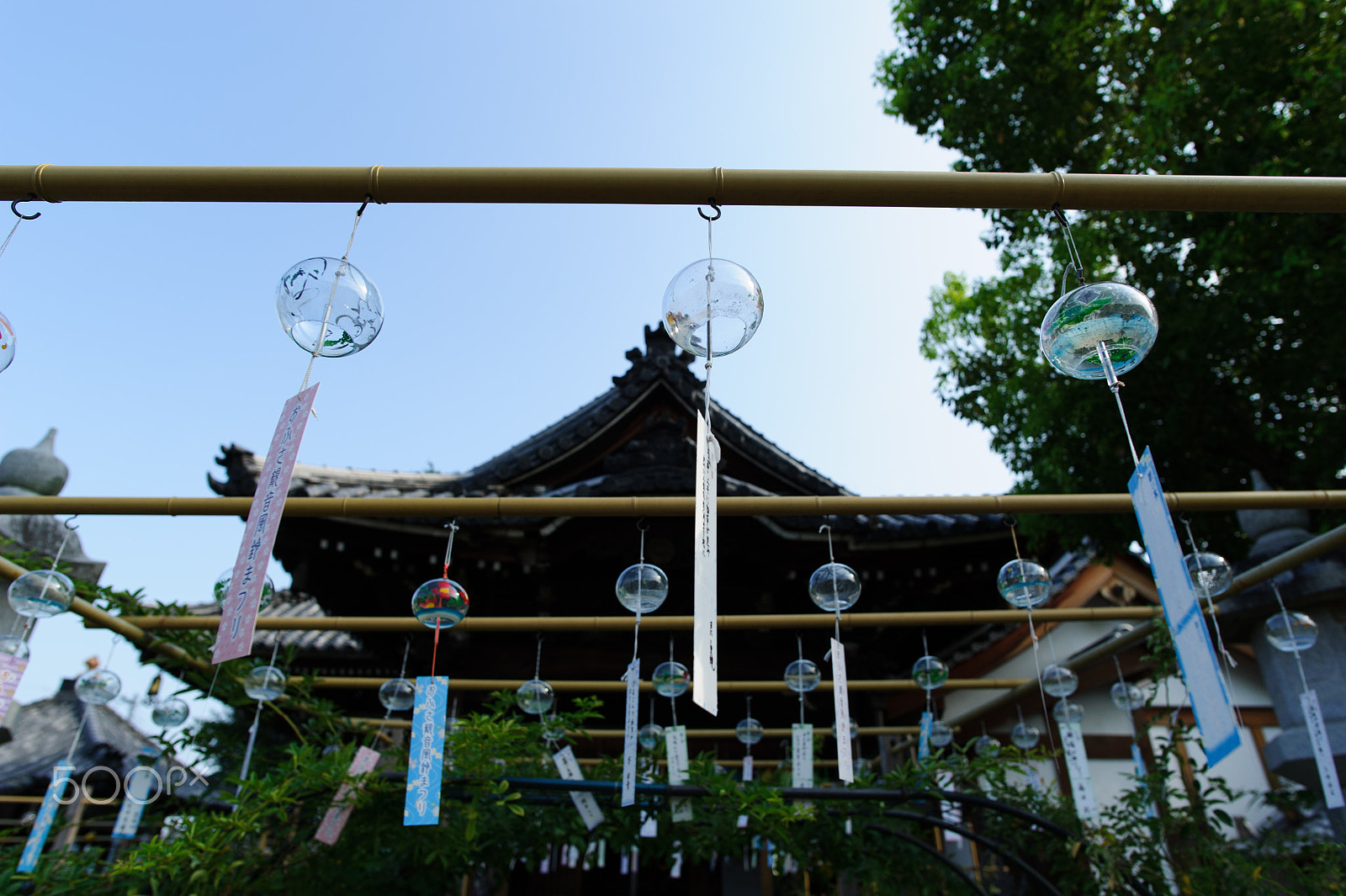 Nikon AF-S Nikkor 20mm F1.8G ED sample photo. Fuurin photography