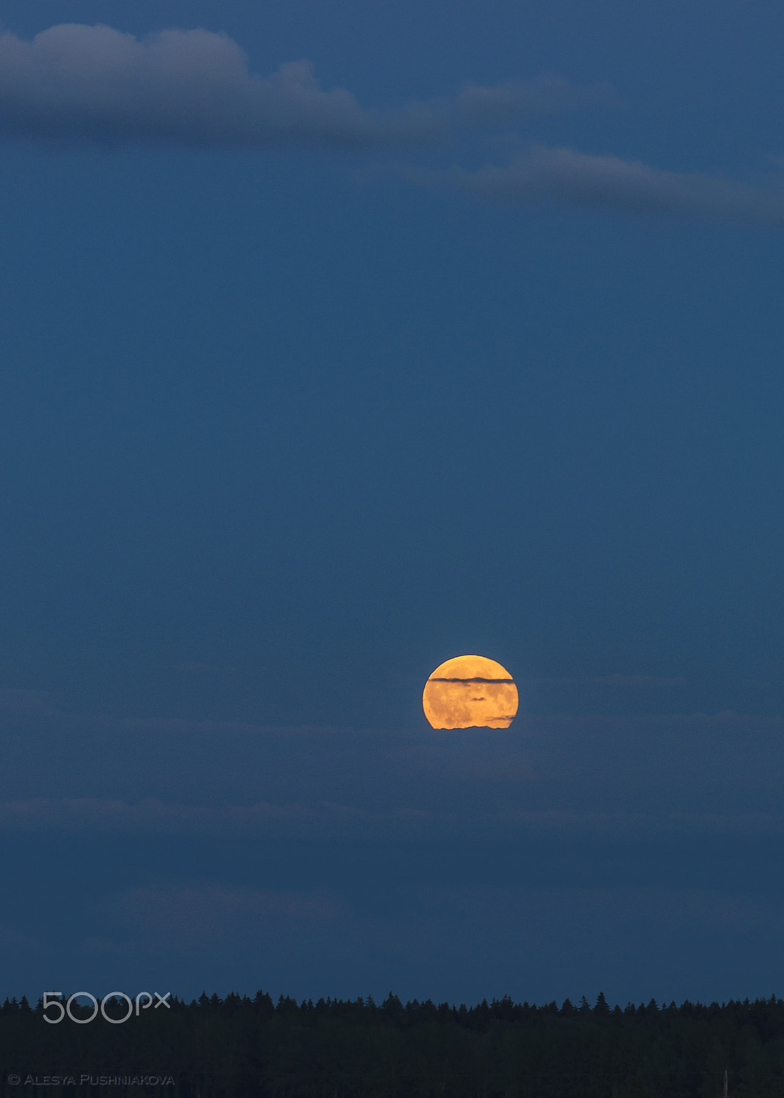 AF Zoom-Nikkor 80-200mm f/2.8 ED sample photo. Rising up photography