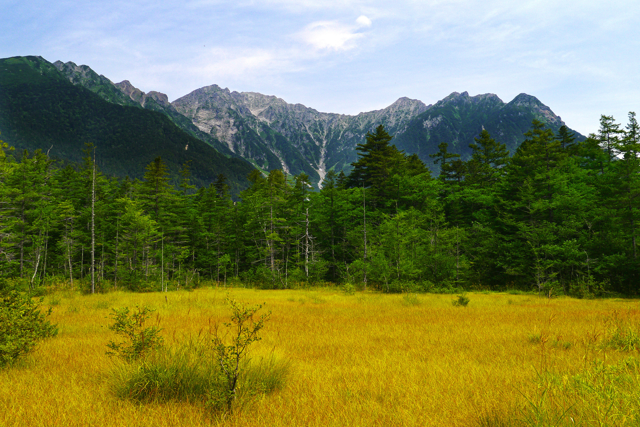Panasonic Lumix DMC-GX1 sample photo. Summer in kamikochi photography