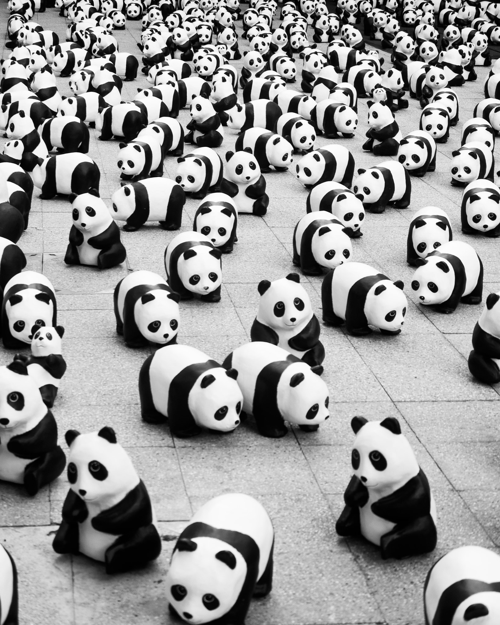 Panasonic Lumix DMC-GX7 sample photo. An embarrassment of pandas photography