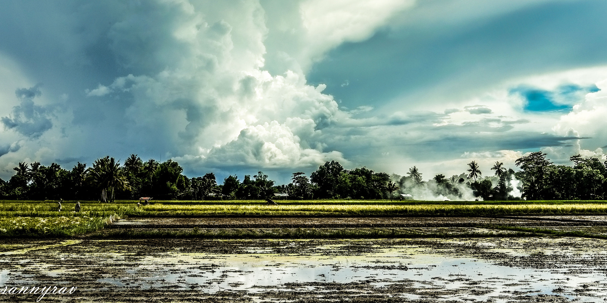 Fujifilm X-E1 + Fujifilm XF 35mm F2 R WR sample photo. Rice fields photography