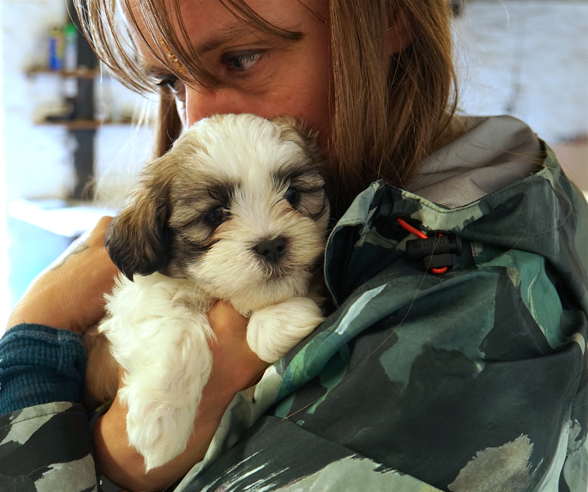 Sony E 18-200mm F3.5-6.3 OSS LE sample photo. Bear...our new pup! photography