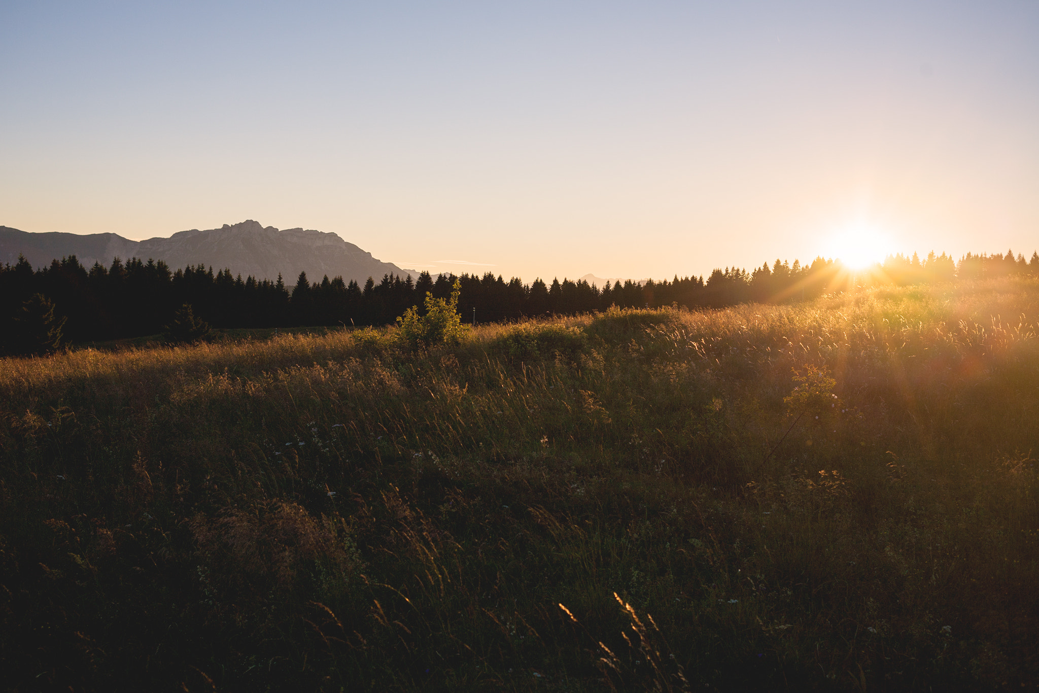 Canon EOS 5D + Canon EF 40mm F2.8 STM sample photo. Golden light photography