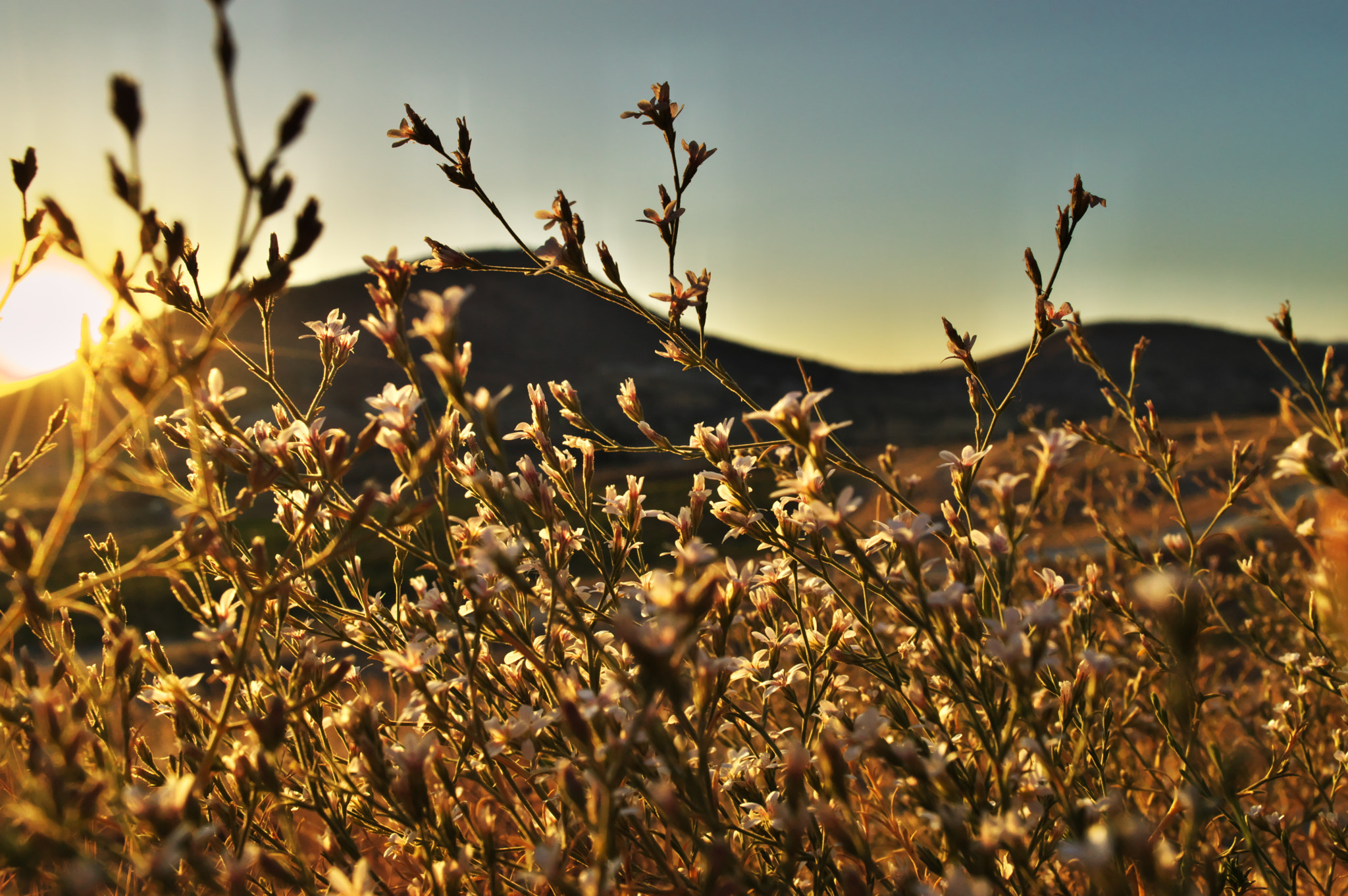 VR 18-55mm F/3.5-5.6 G sample photo. Sunset. photography
