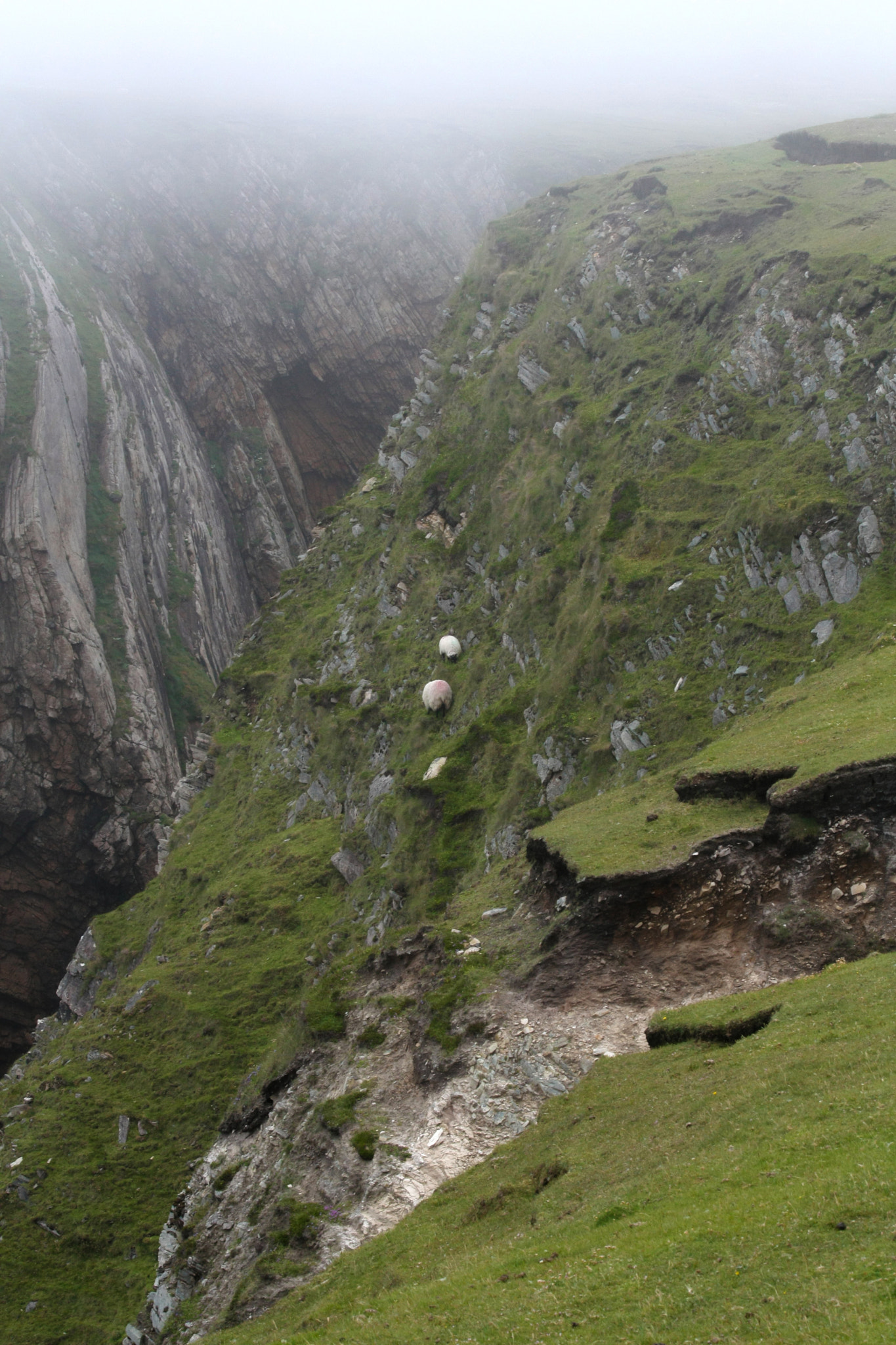Canon EF 70-300mm F4-5.6 IS USM sample photo. Living on the edge photography
