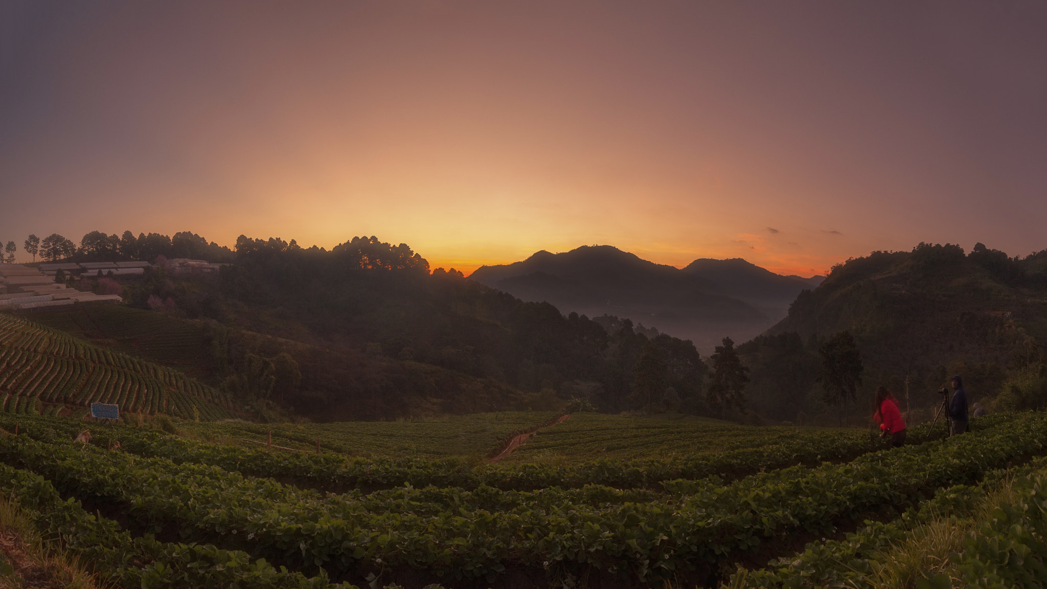 Nikon AF-S Nikkor 18-35mm F3.5-4.5G ED sample photo. Sunrise at doi ang khang photography