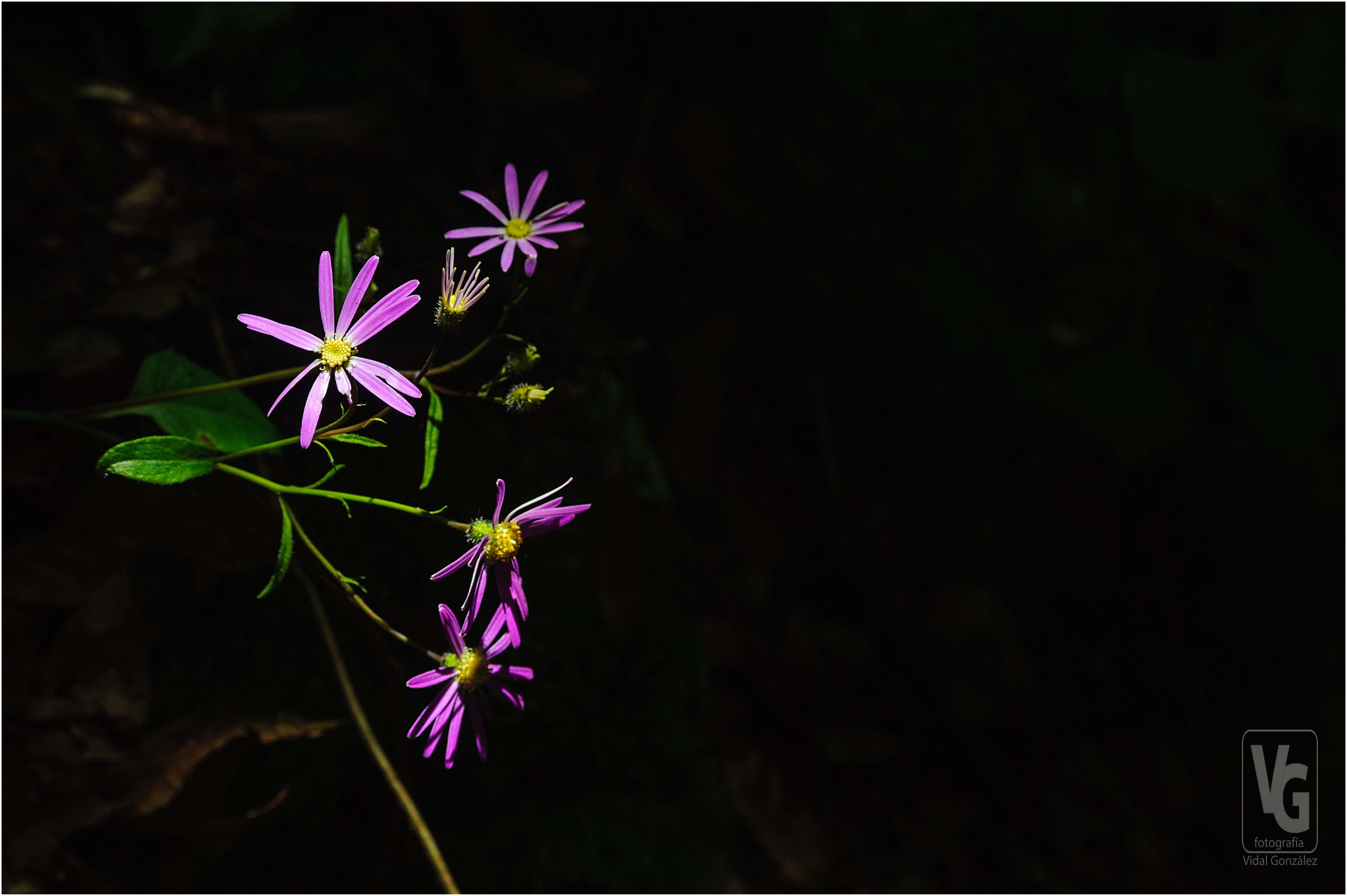 AF Zoom-Nikkor 28-105mm f/3.5-4.5D IF sample photo. 128588.jpg photography