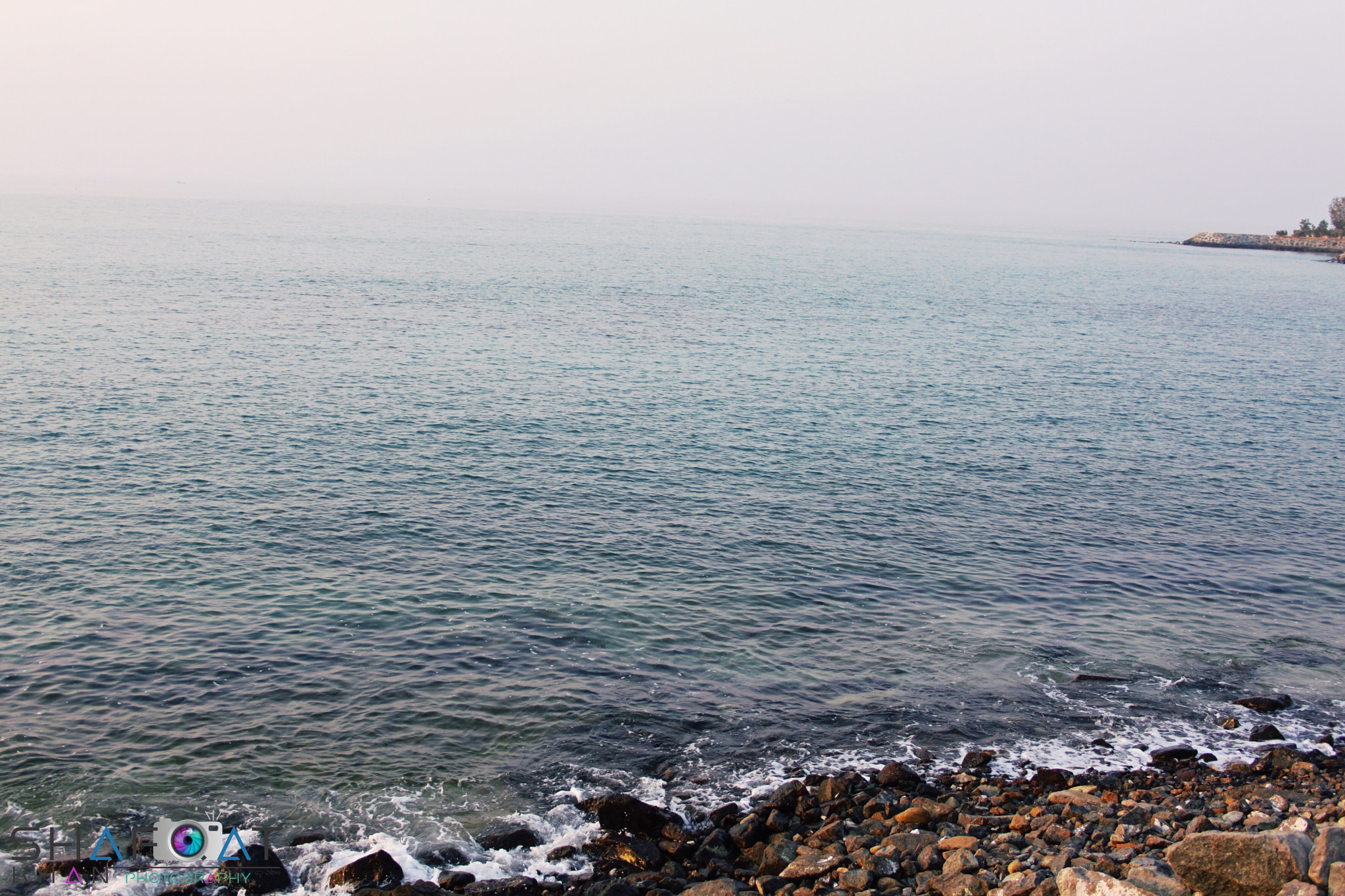 Canon EF-S 18-55mm F3.5-5.6 sample photo. Its #worldphotography day today and here its my li ... photography