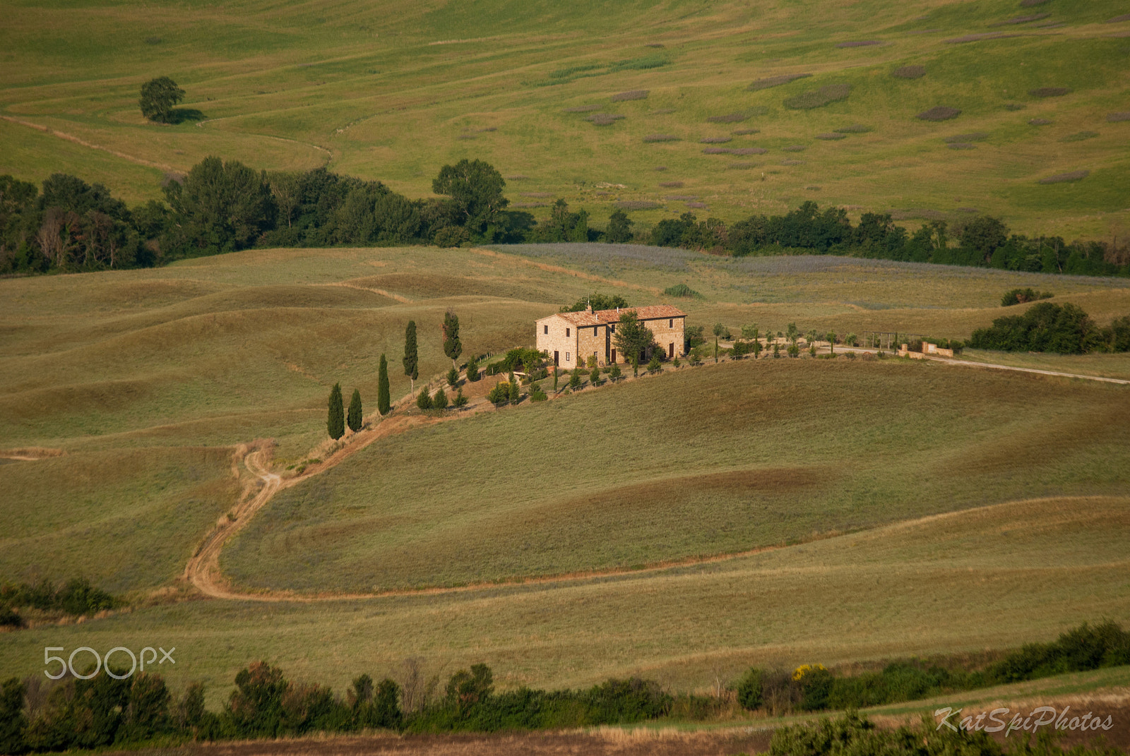 Nikon D3000 sample photo. Getting lost in the hills of toscana... photography