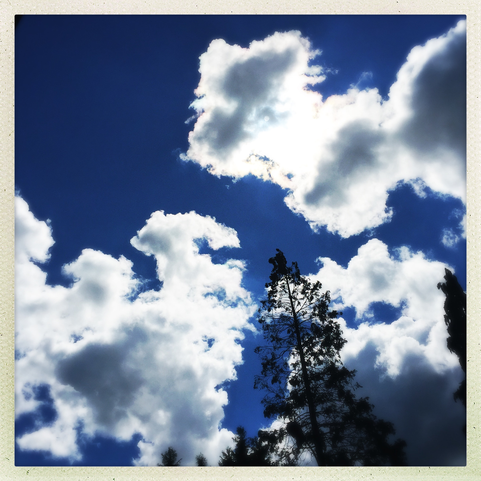 Hipstamatic 302 sample photo. Cloudy blue photography