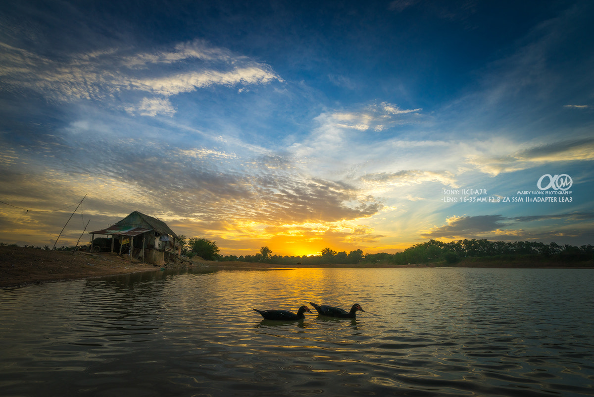 Sony Vario-Sonnar T* 16-35mm F2.8 ZA SSM II sample photo. A couple of duck and sunset! photography