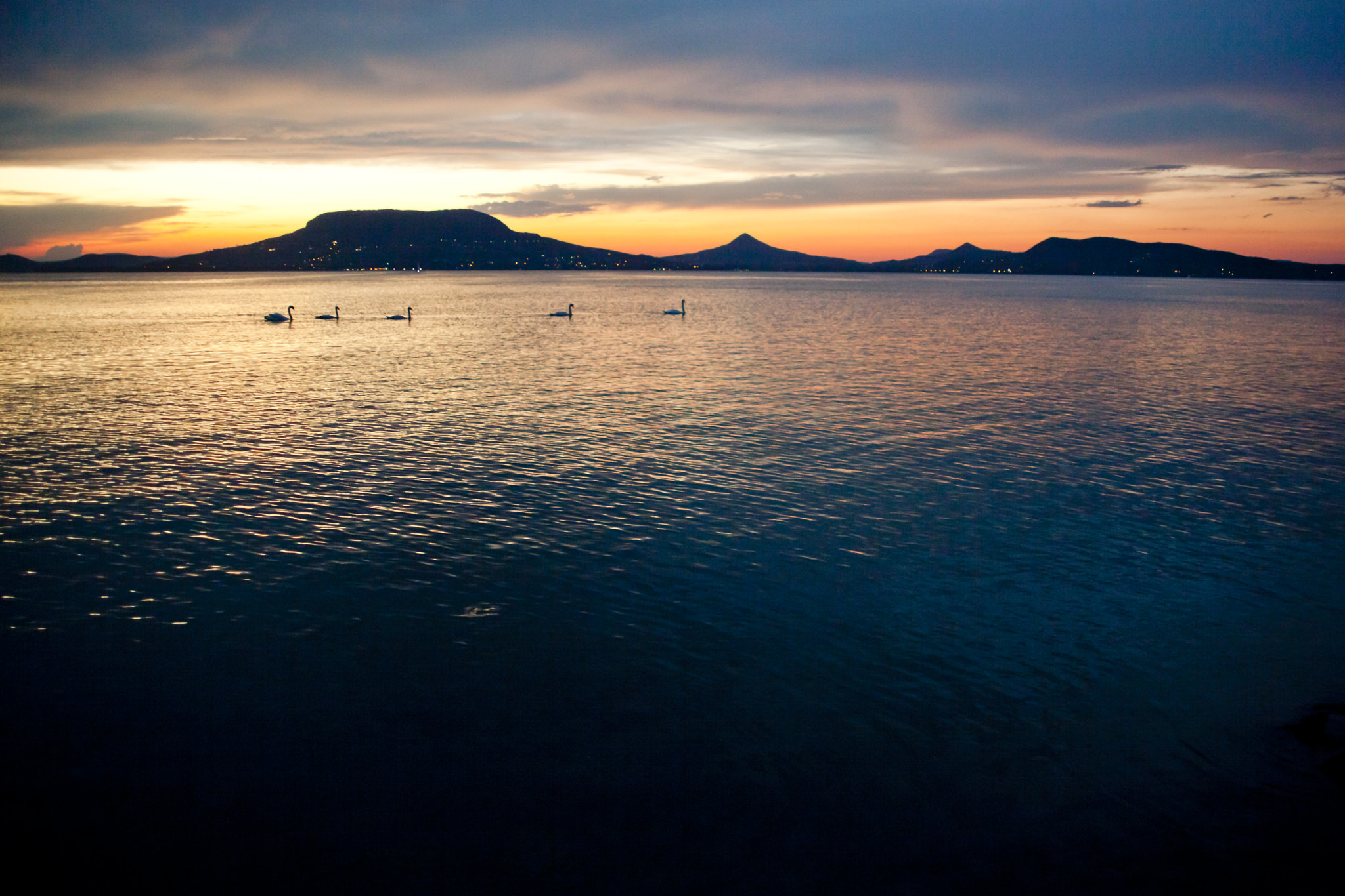 Canon EF 28-105mm f/3.5-4.5 USM sample photo. Swans of the balaton photography