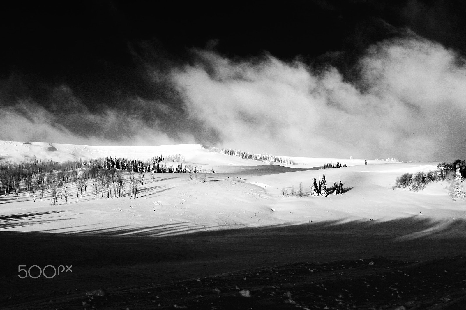 Canon EOS 60D + Canon EF 17-40mm F4L USM sample photo. Winter's grip photography