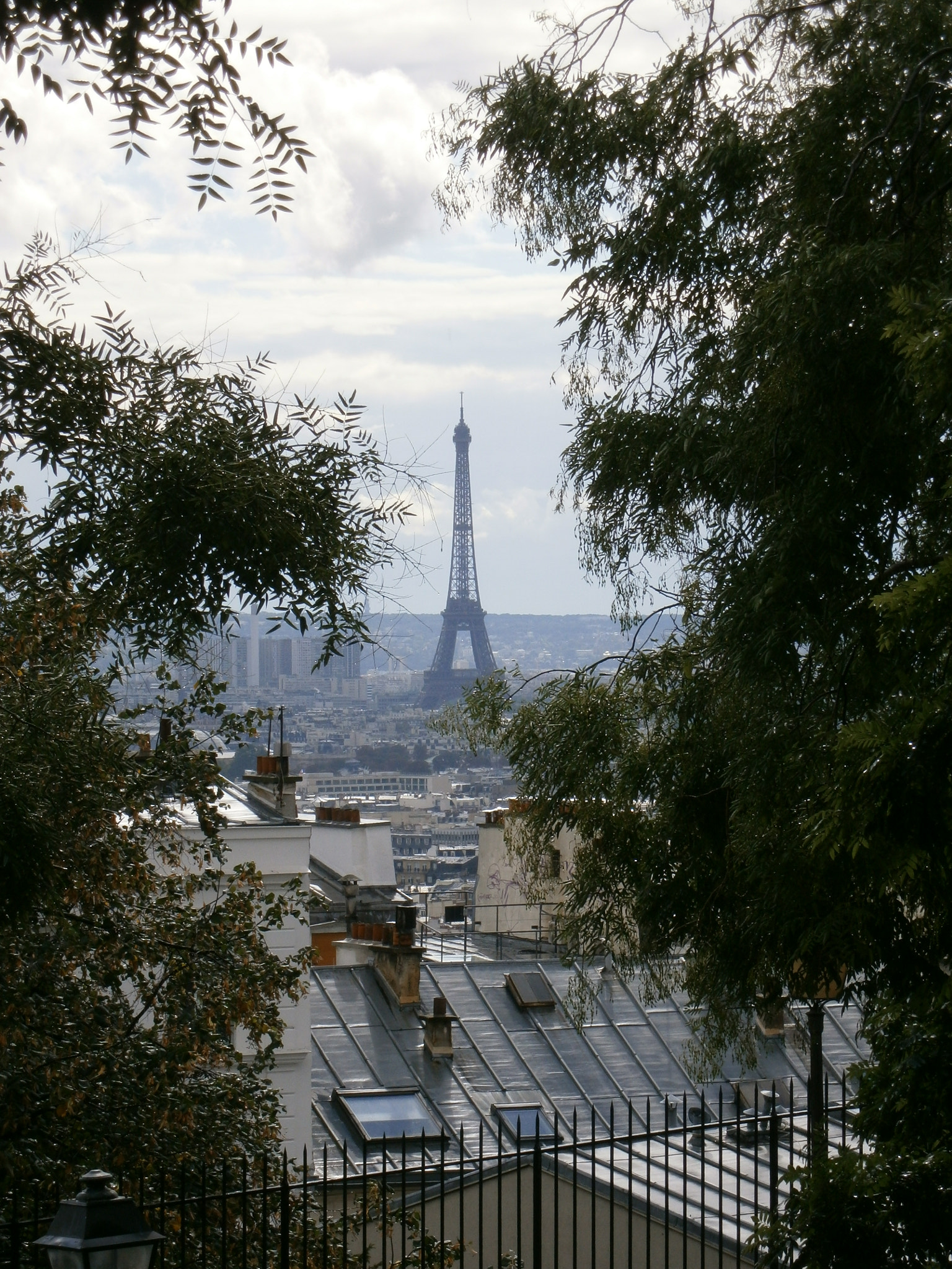 Olympus VG130,D710 sample photo. View to the eiffel tower photography