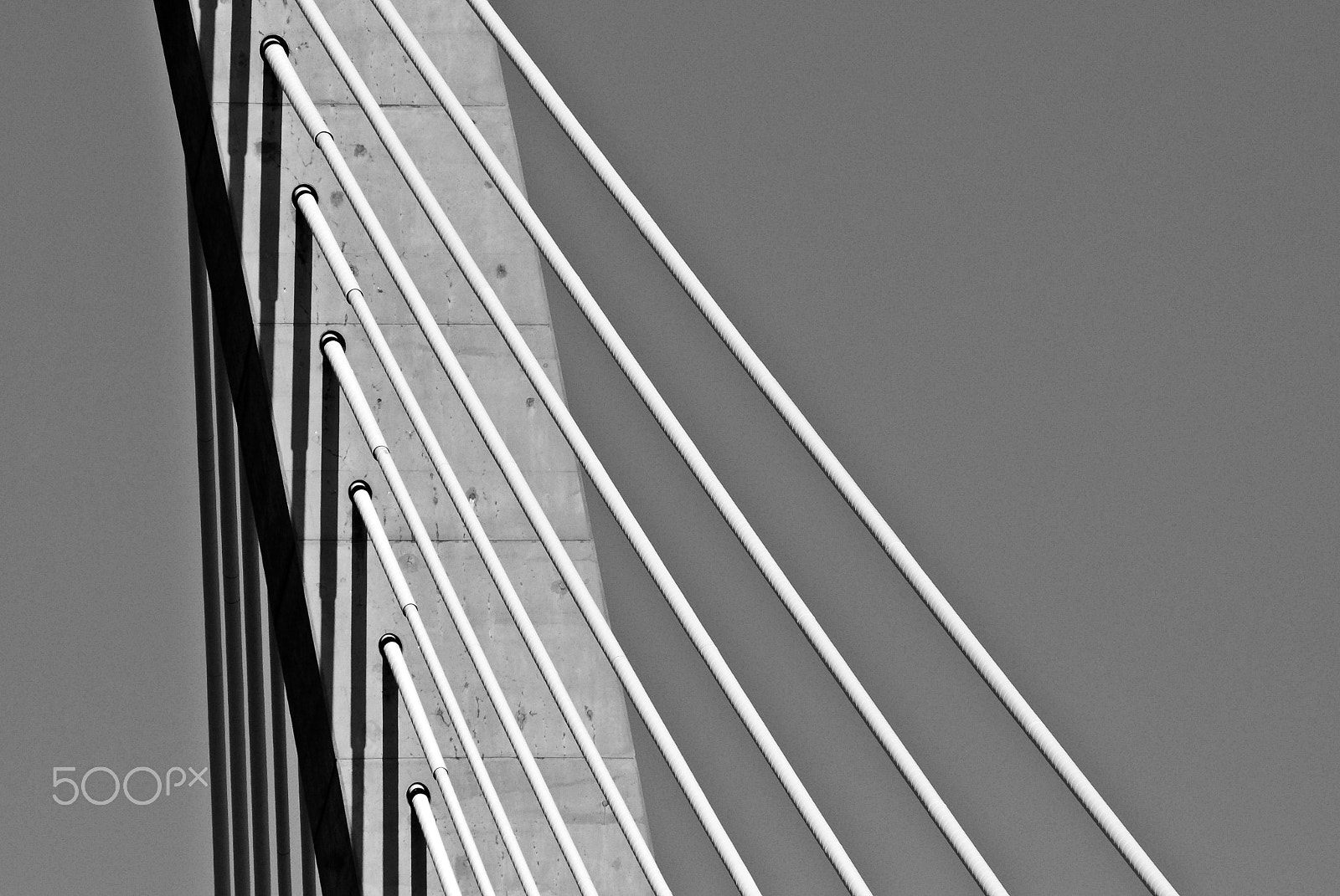 Nikon D200 sample photo. Strength in numbers photography